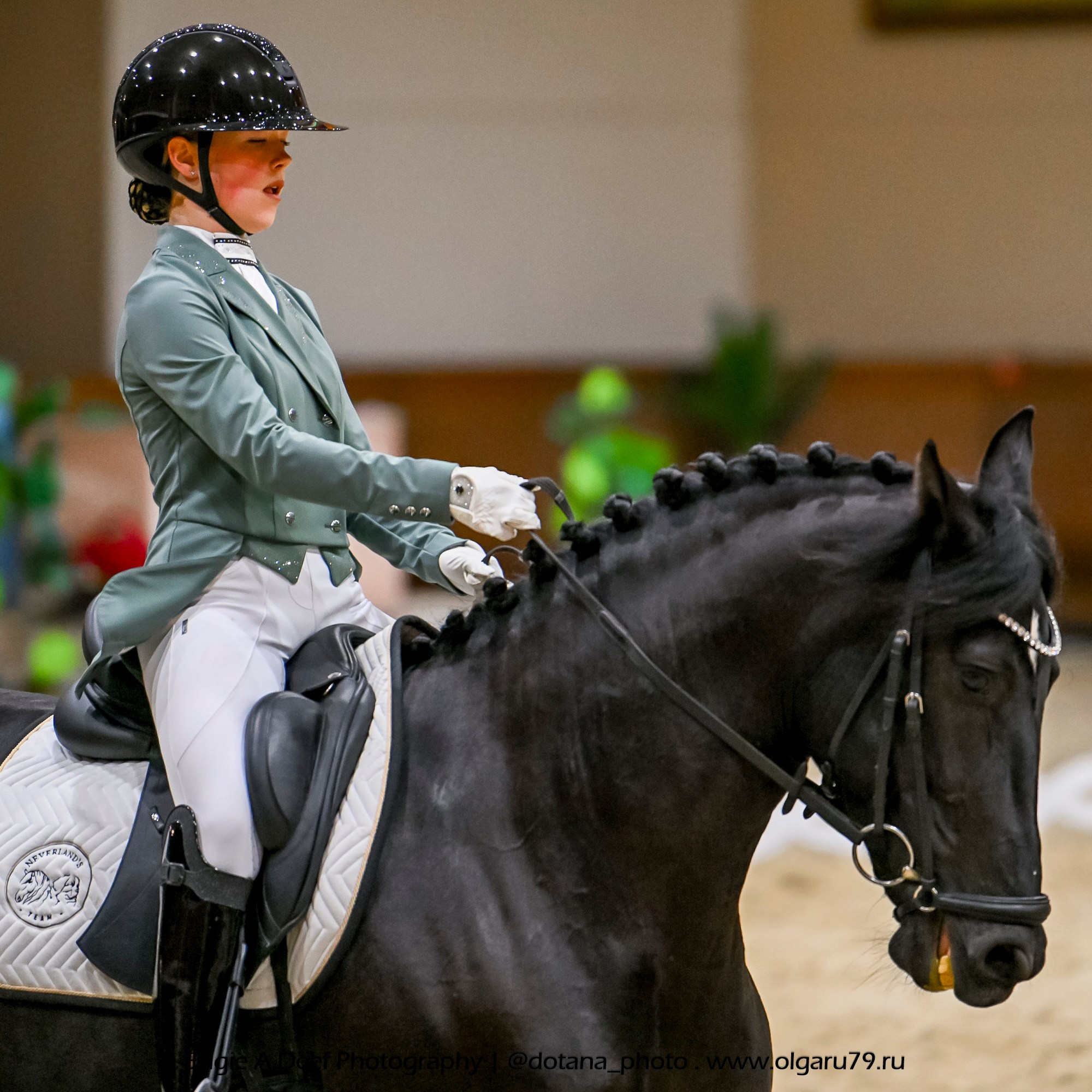 2025.10.30 и 31 — КСК Виват, Россия! (выездка). ТУРНИРНАЯ КОННАЯ ФОТОГРАФИЯ, Руднева Ольга и Евгений Адеев