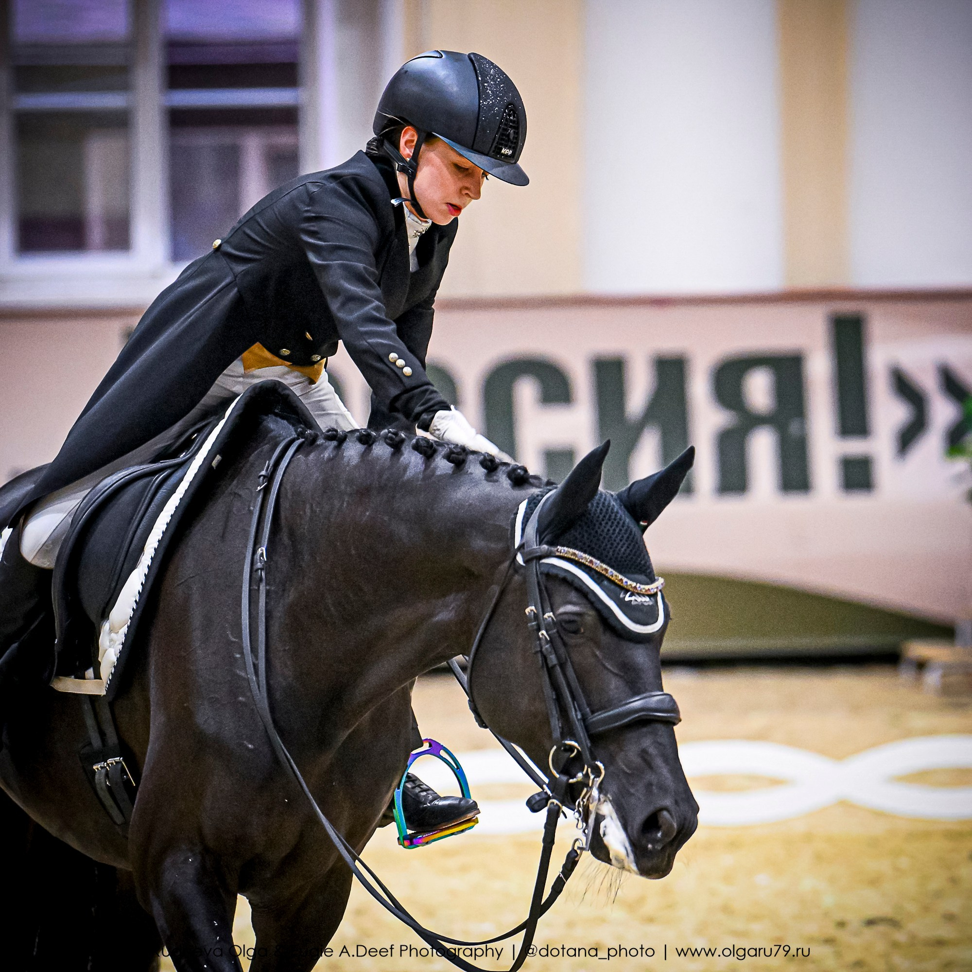 2025.10.30 и 31 — КСК Виват, Россия! (выездка). ТУРНИРНАЯ КОННАЯ ФОТОГРАФИЯ, Руднева Ольга и Евгений Адеев