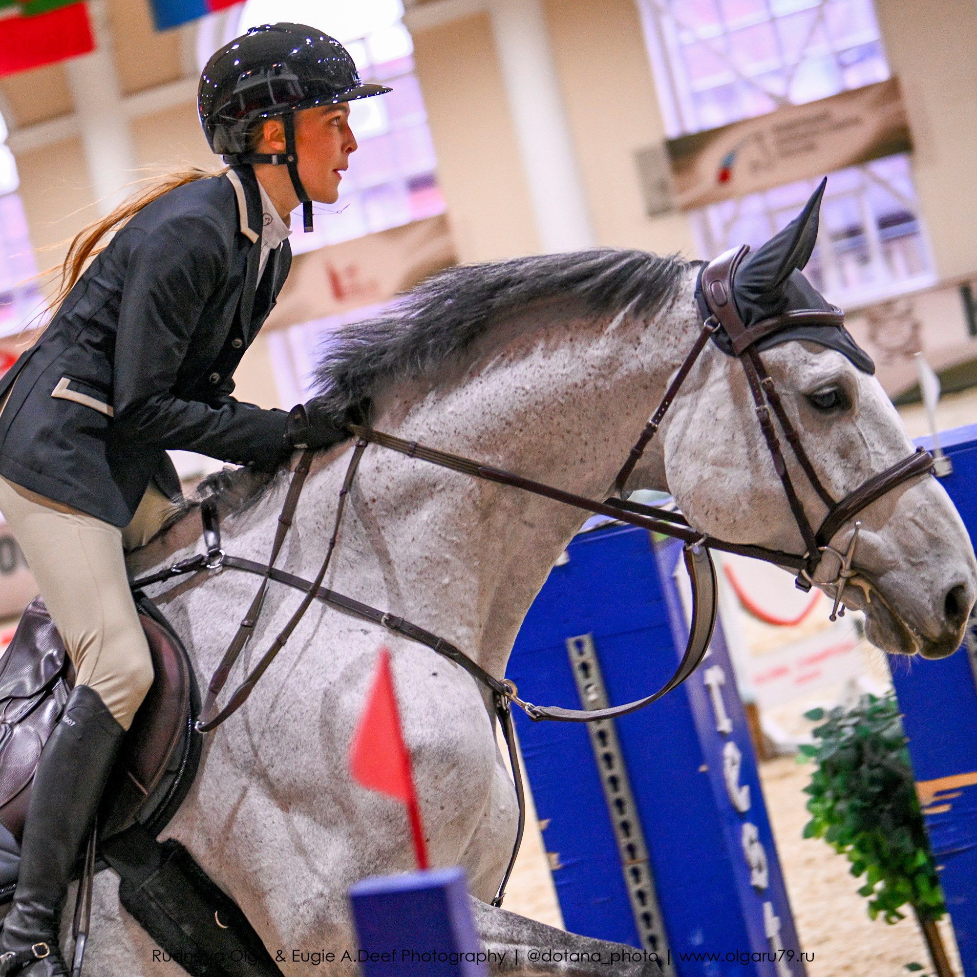 2025.10.26 — КСК Виват, Россия! конкур. ТУРНИРНАЯ КОННАЯ ФОТОГРАФИЯ, Руднева Ольга и Евгений Адеев
