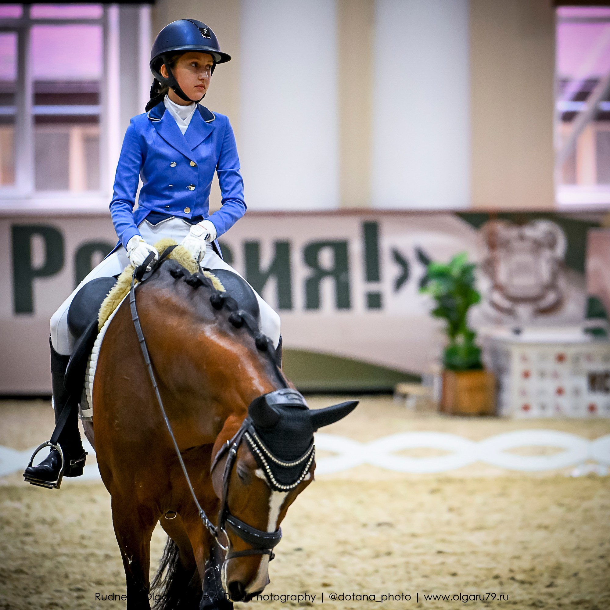 2025.10.30 и 31 — КСК Виват, Россия! (выездка). ТУРНИРНАЯ КОННАЯ ФОТОГРАФИЯ, Руднева Ольга и Евгений Адеев