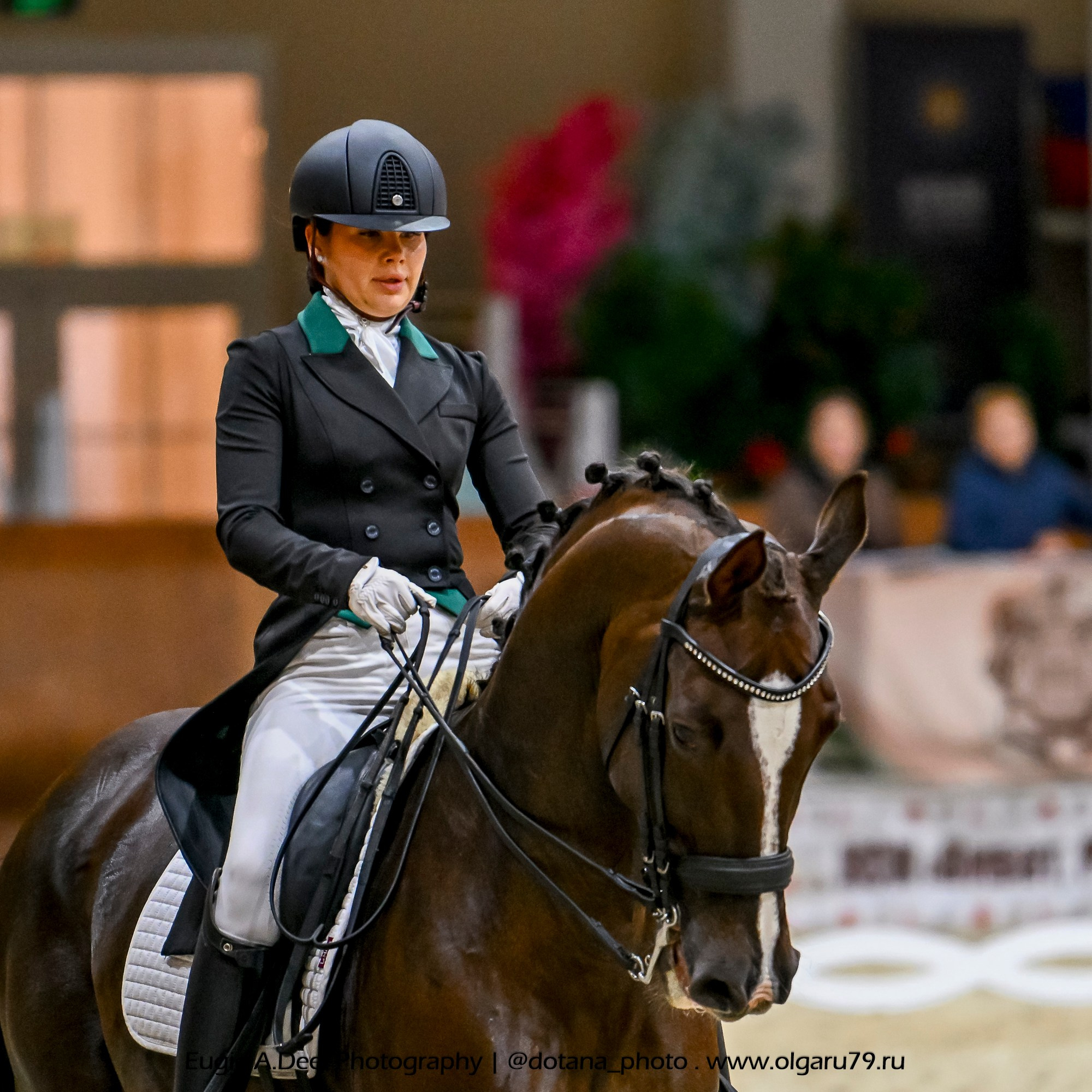 2025.10.30 и 31 — КСК Виват, Россия! (выездка). ТУРНИРНАЯ КОННАЯ ФОТОГРАФИЯ, Руднева Ольга и Евгений Адеев