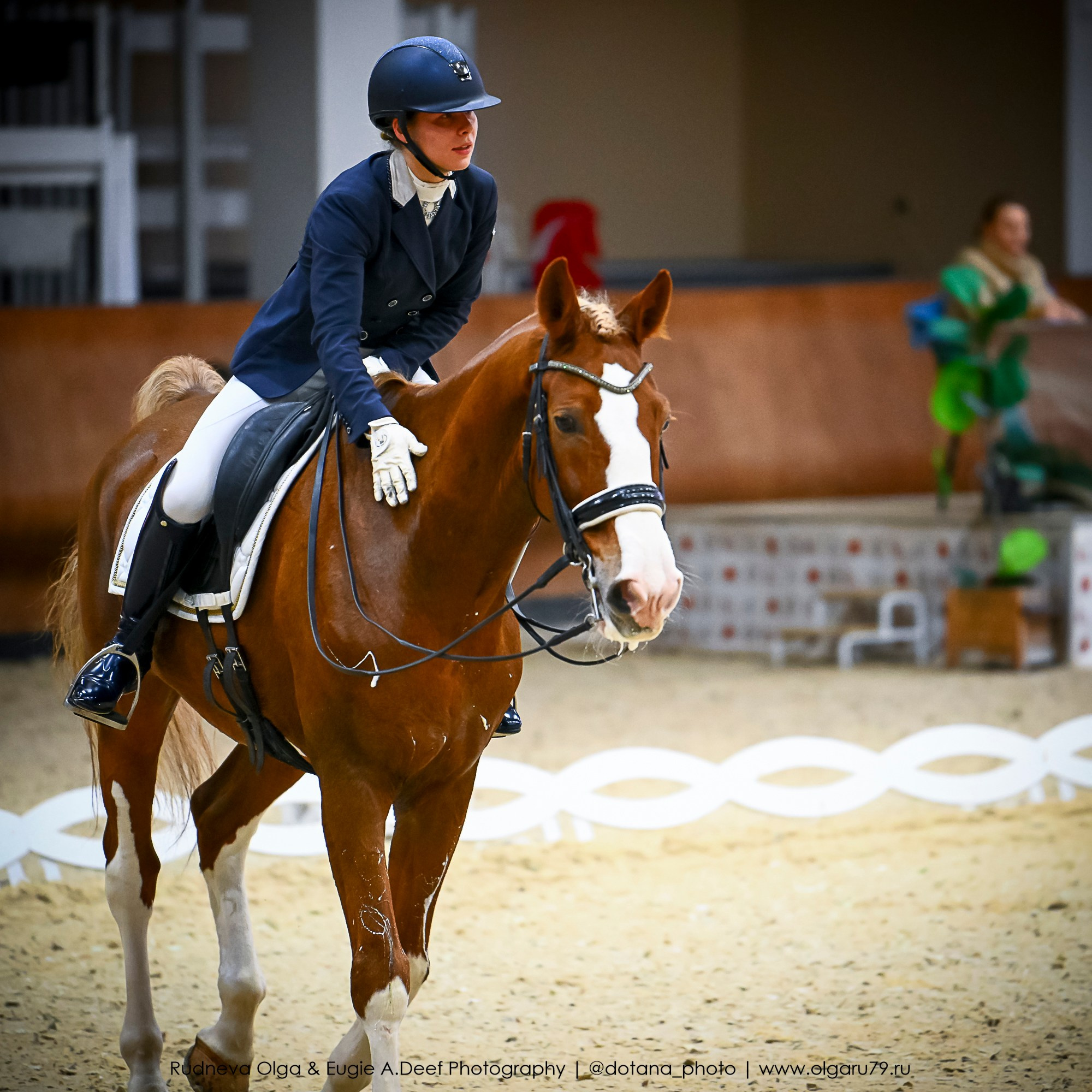 2025.10.30 и 31 — КСК Виват, Россия! (выездка). ТУРНИРНАЯ КОННАЯ ФОТОГРАФИЯ, Руднева Ольга и Евгений Адеев