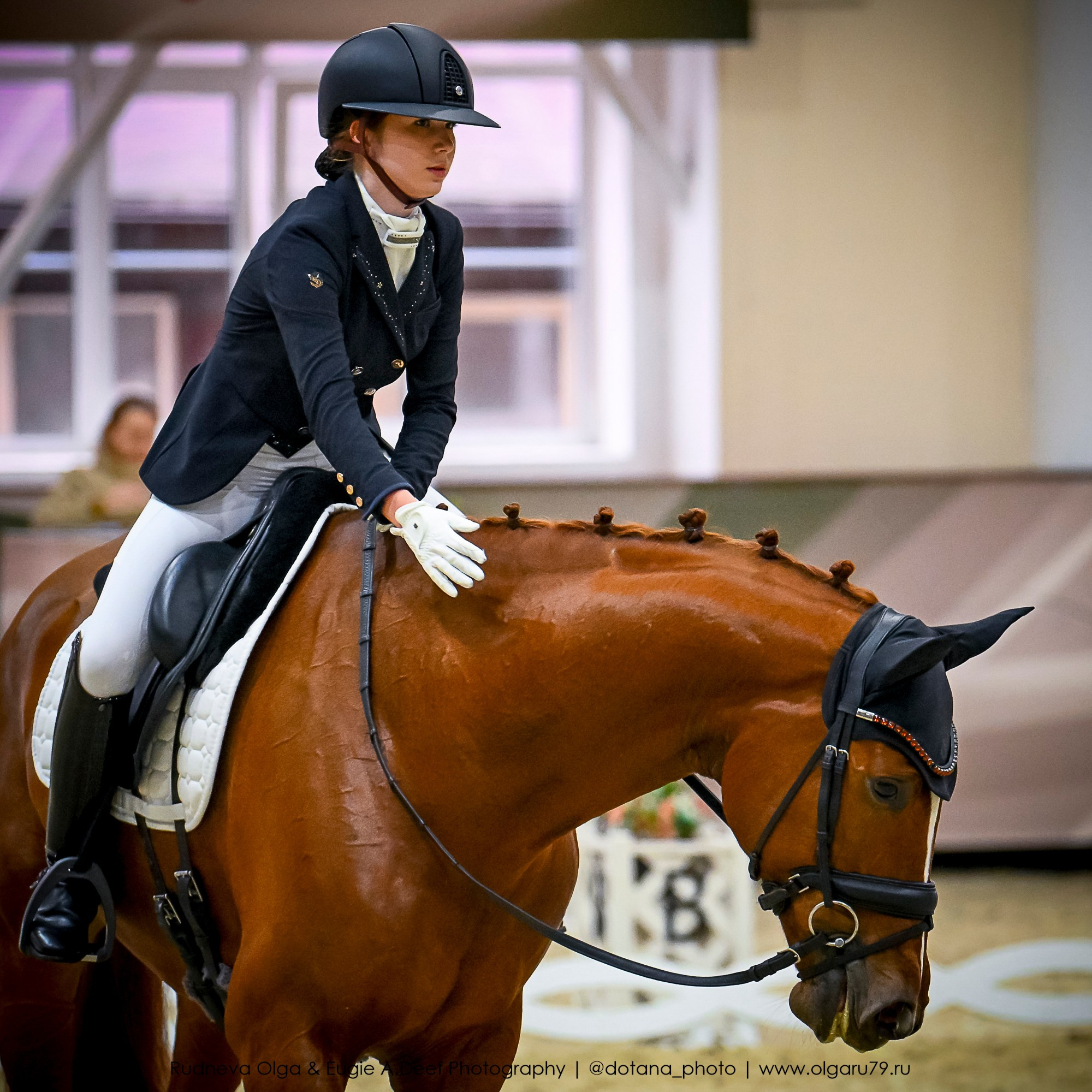 2025.10.30 и 31 — КСК Виват, Россия! (выездка). ТУРНИРНАЯ КОННАЯ ФОТОГРАФИЯ, Руднева Ольга и Евгений Адеев
