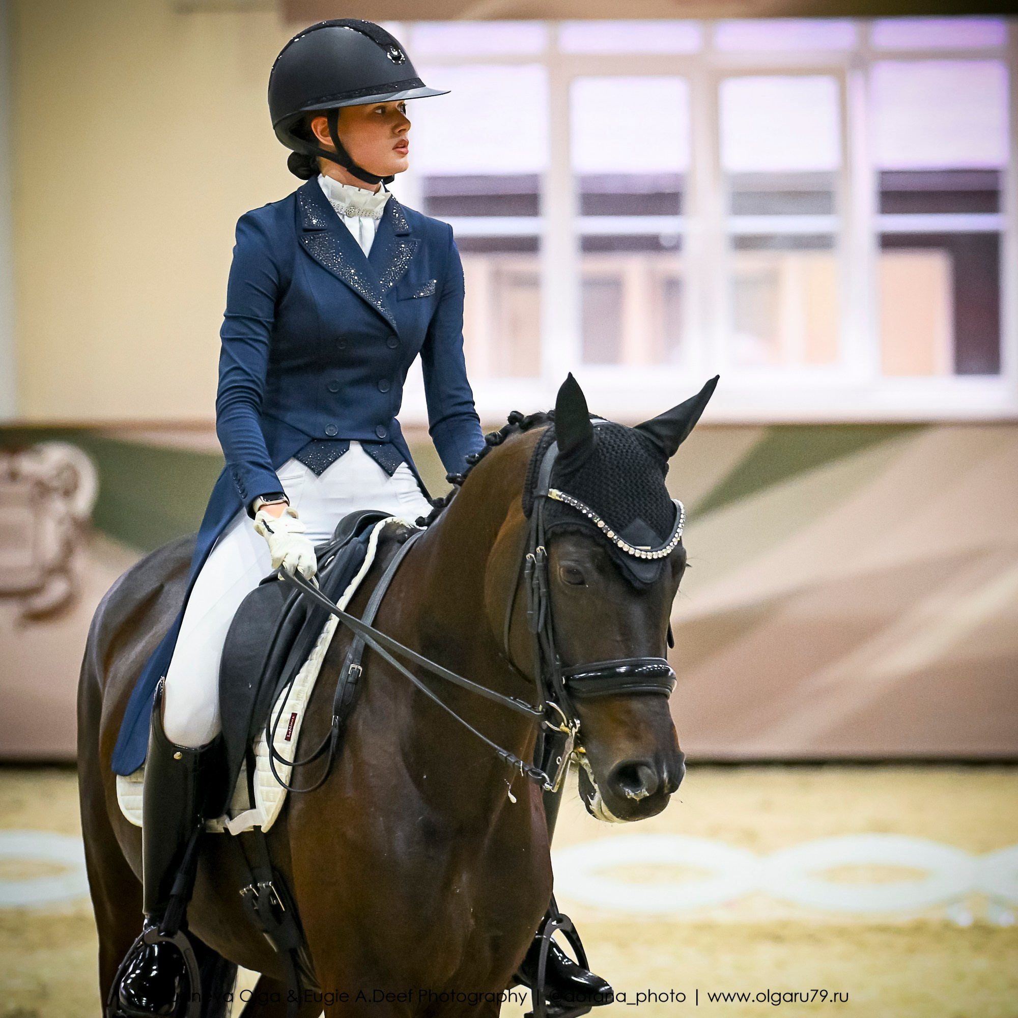 2025.10.30 и 31 — КСК Виват, Россия! (выездка). ТУРНИРНАЯ КОННАЯ ФОТОГРАФИЯ, Руднева Ольга и Евгений Адеев