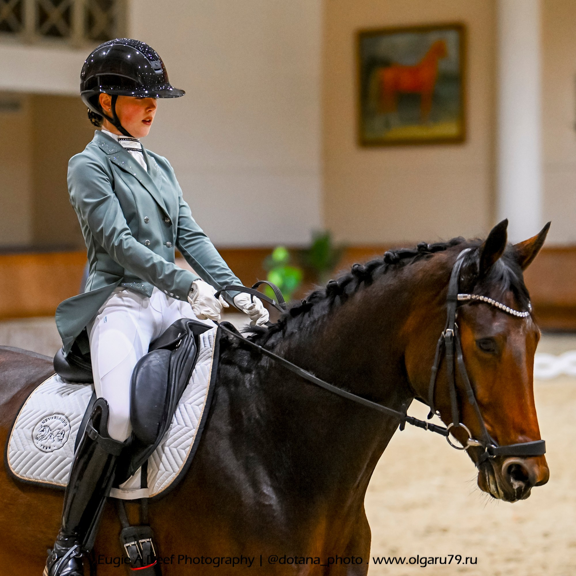2025.10.30 и 31 — КСК Виват, Россия! (выездка). ТУРНИРНАЯ КОННАЯ ФОТОГРАФИЯ, Руднева Ольга и Евгений Адеев