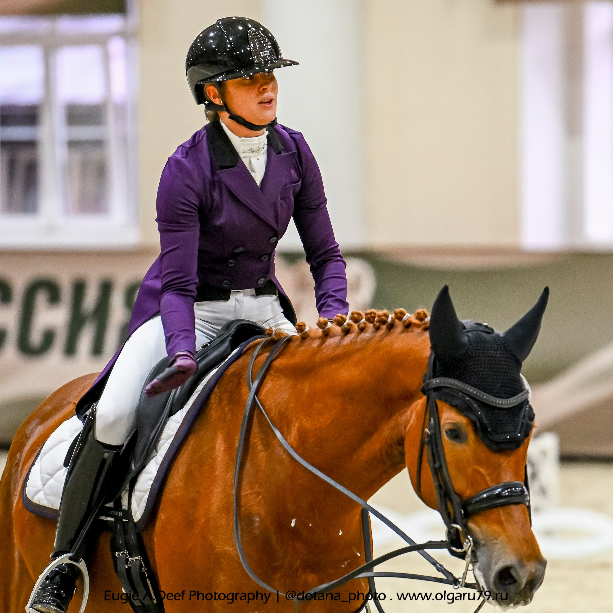 2025.10.30 и 31 — КСК Виват, Россия! (выездка). ТУРНИРНАЯ КОННАЯ ФОТОГРАФИЯ, Руднева Ольга и Евгений Адеев