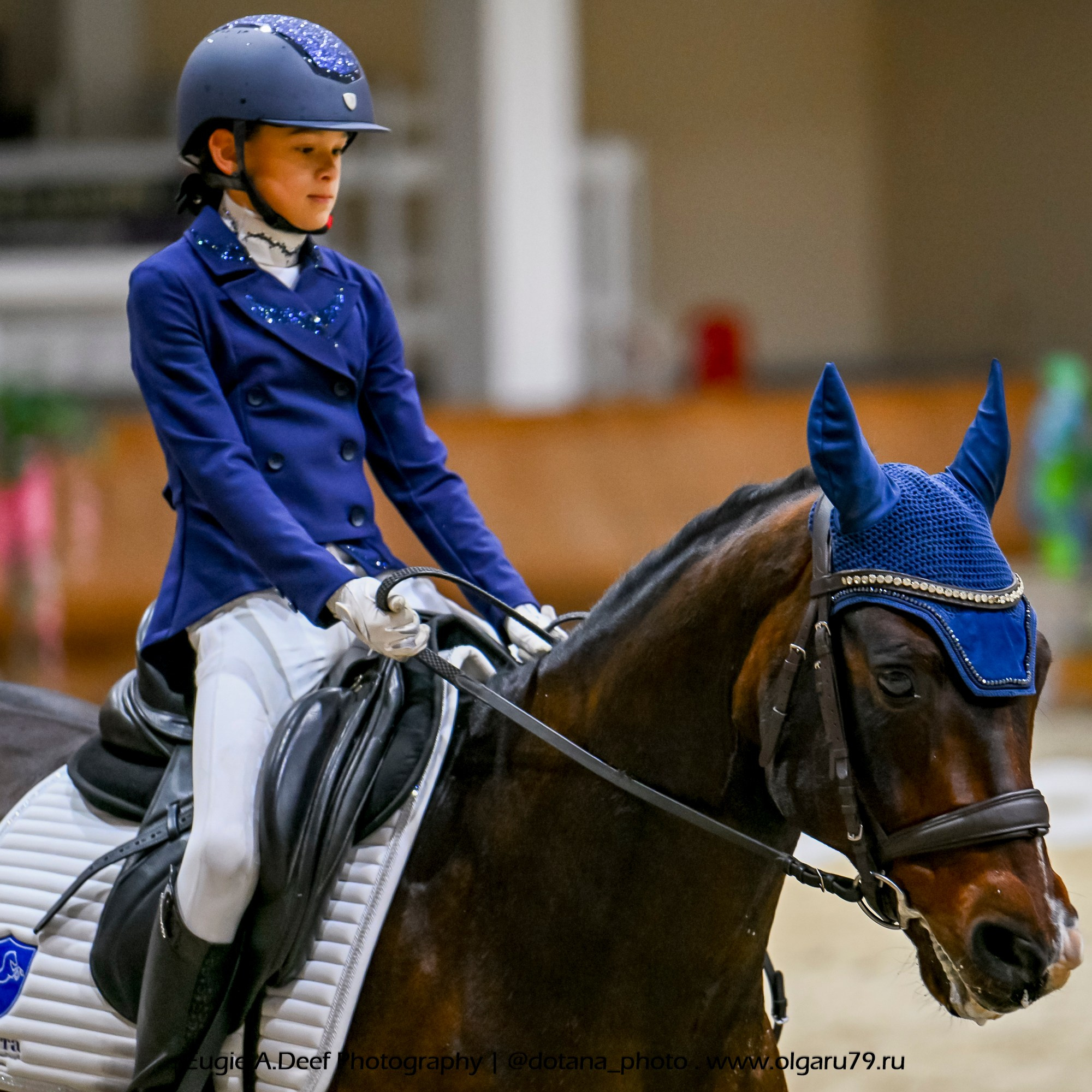 2025.10.30 и 31 — КСК Виват, Россия! (выездка). ТУРНИРНАЯ КОННАЯ ФОТОГРАФИЯ, Руднева Ольга и Евгений Адеев