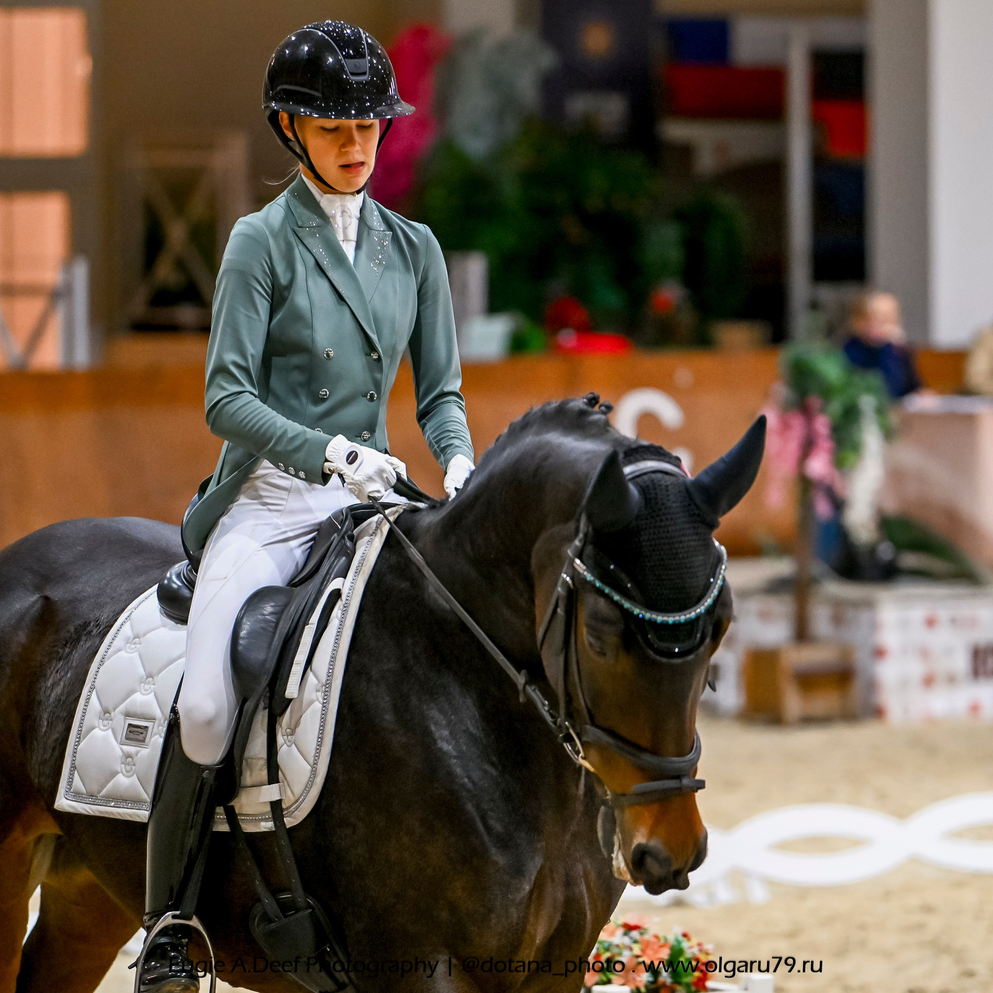 2025.10.30 и 31 — КСК Виват, Россия! (выездка). ТУРНИРНАЯ КОННАЯ ФОТОГРАФИЯ, Руднева Ольга и Евгений Адеев