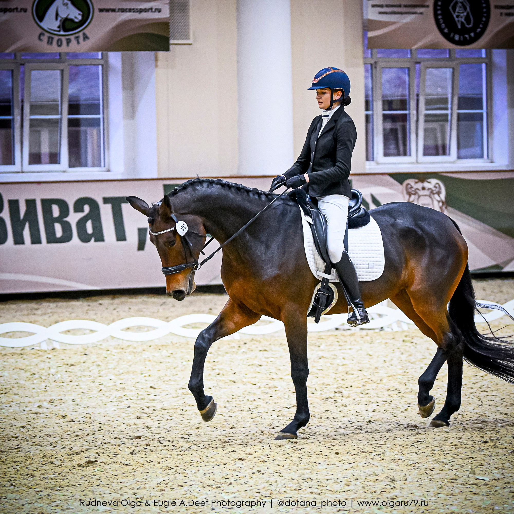 2025.10.30 и 31 — КСК Виват, Россия! (выездка). ТУРНИРНАЯ КОННАЯ ФОТОГРАФИЯ, Руднева Ольга и Евгений Адеев