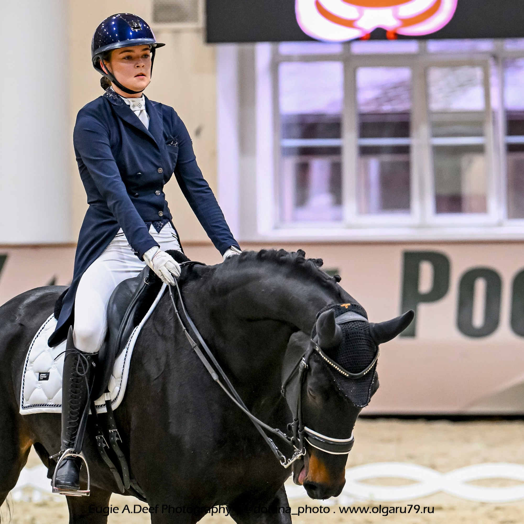 2025.10.30 и 31 — КСК Виват, Россия! (выездка). ТУРНИРНАЯ КОННАЯ ФОТОГРАФИЯ, Руднева Ольга и Евгений Адеев