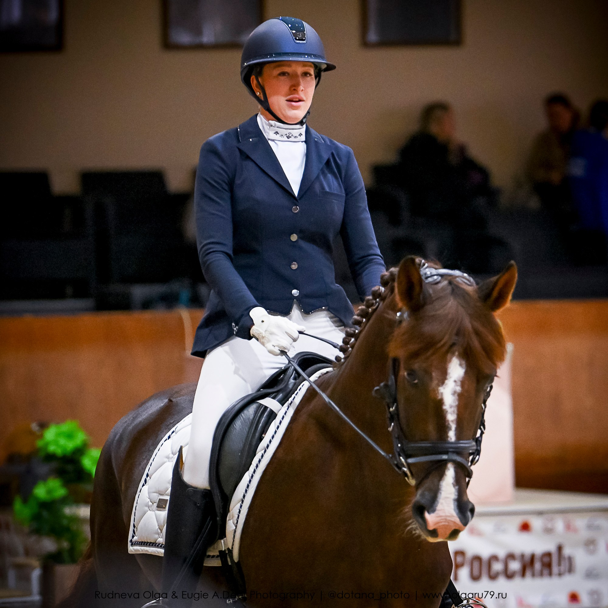 2025.10.30 и 31 — КСК Виват, Россия! (выездка). ТУРНИРНАЯ КОННАЯ ФОТОГРАФИЯ, Руднева Ольга и Евгений Адеев