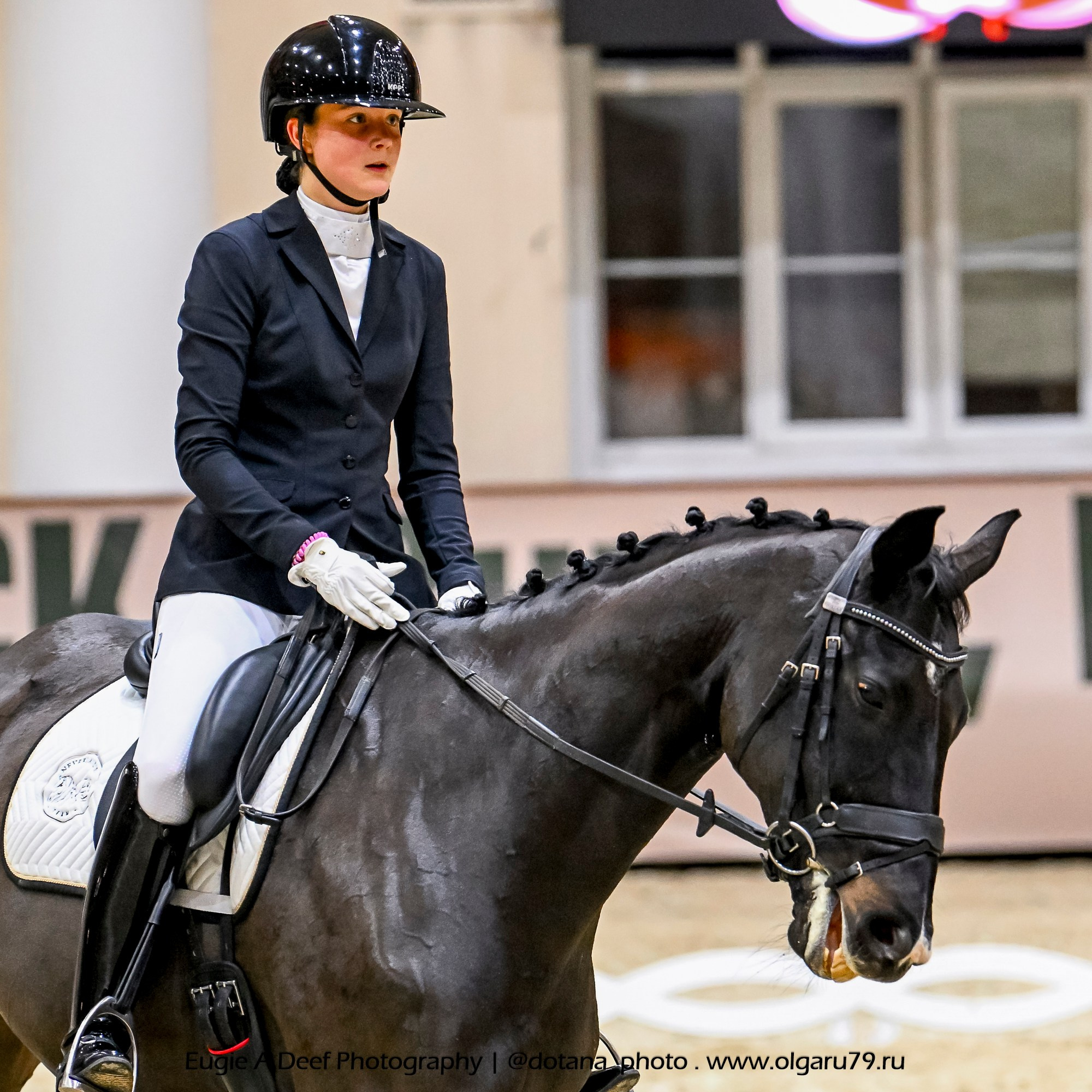 2025.10.30 и 31 — КСК Виват, Россия! (выездка). ТУРНИРНАЯ КОННАЯ ФОТОГРАФИЯ, Руднева Ольга и Евгений Адеев