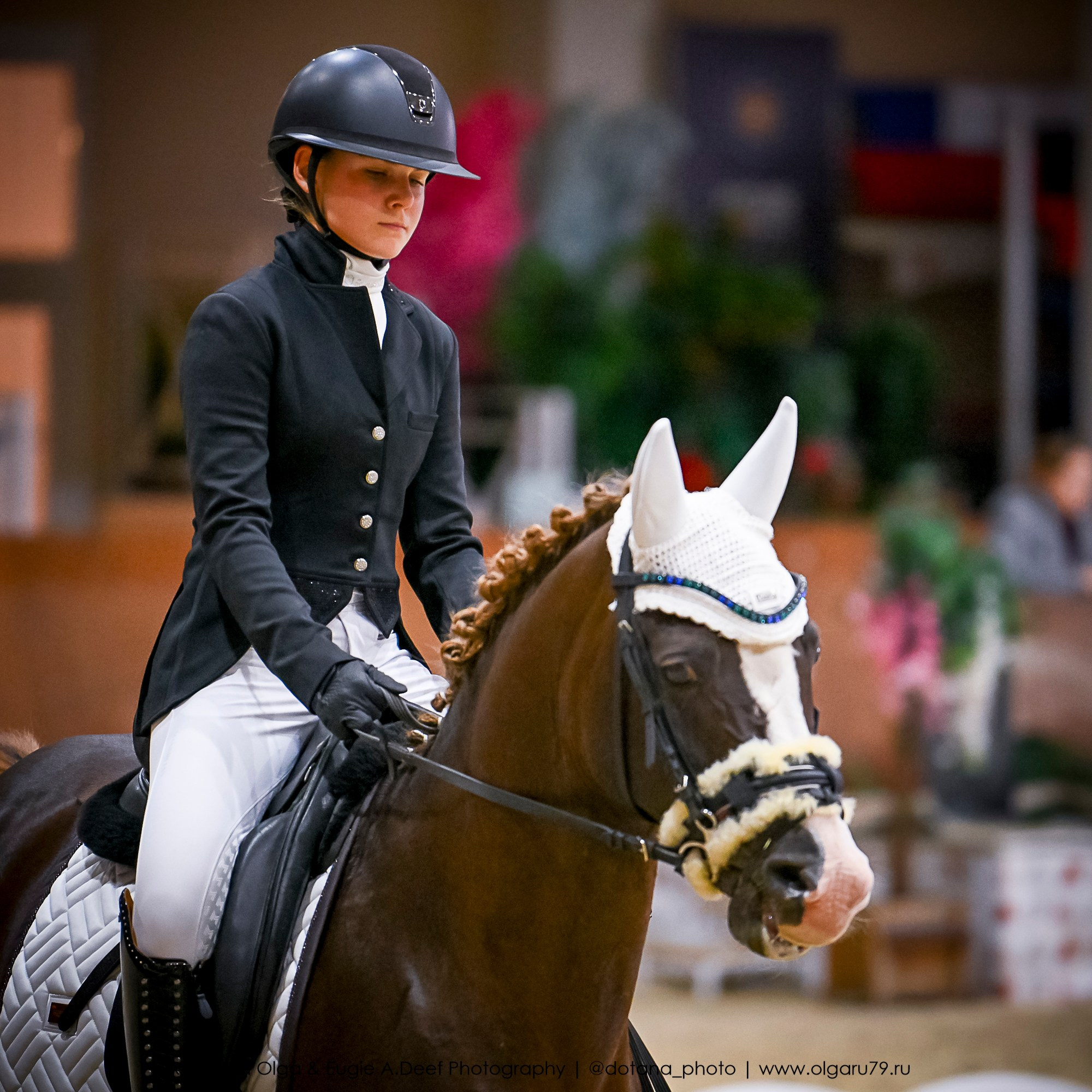 2025.10.30 и 31 — КСК Виват, Россия! (выездка). ТУРНИРНАЯ КОННАЯ ФОТОГРАФИЯ, Руднева Ольга и Евгений Адеев