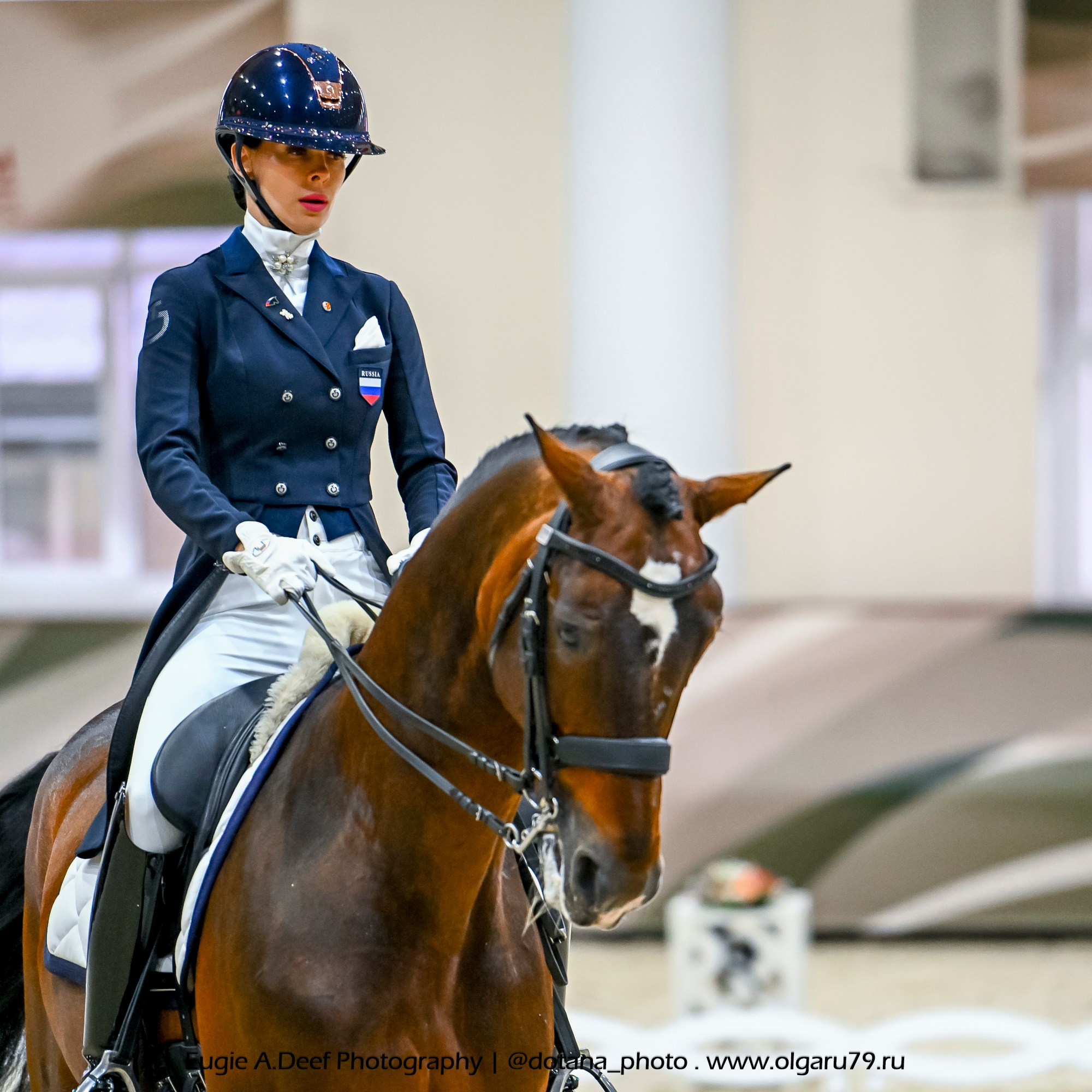 2025.10.30 и 31 — КСК Виват, Россия! (выездка). ТУРНИРНАЯ КОННАЯ ФОТОГРАФИЯ, Руднева Ольга и Евгений Адеев
