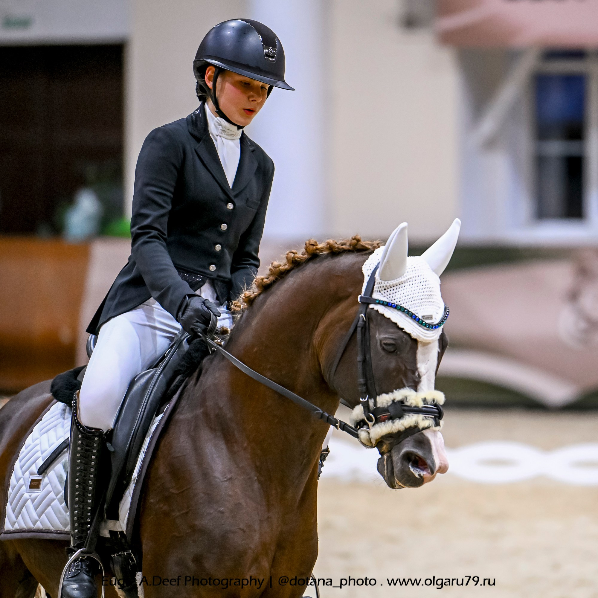 2025.10.30 и 31 — КСК Виват, Россия! (выездка). ТУРНИРНАЯ КОННАЯ ФОТОГРАФИЯ, Руднева Ольга и Евгений Адеев