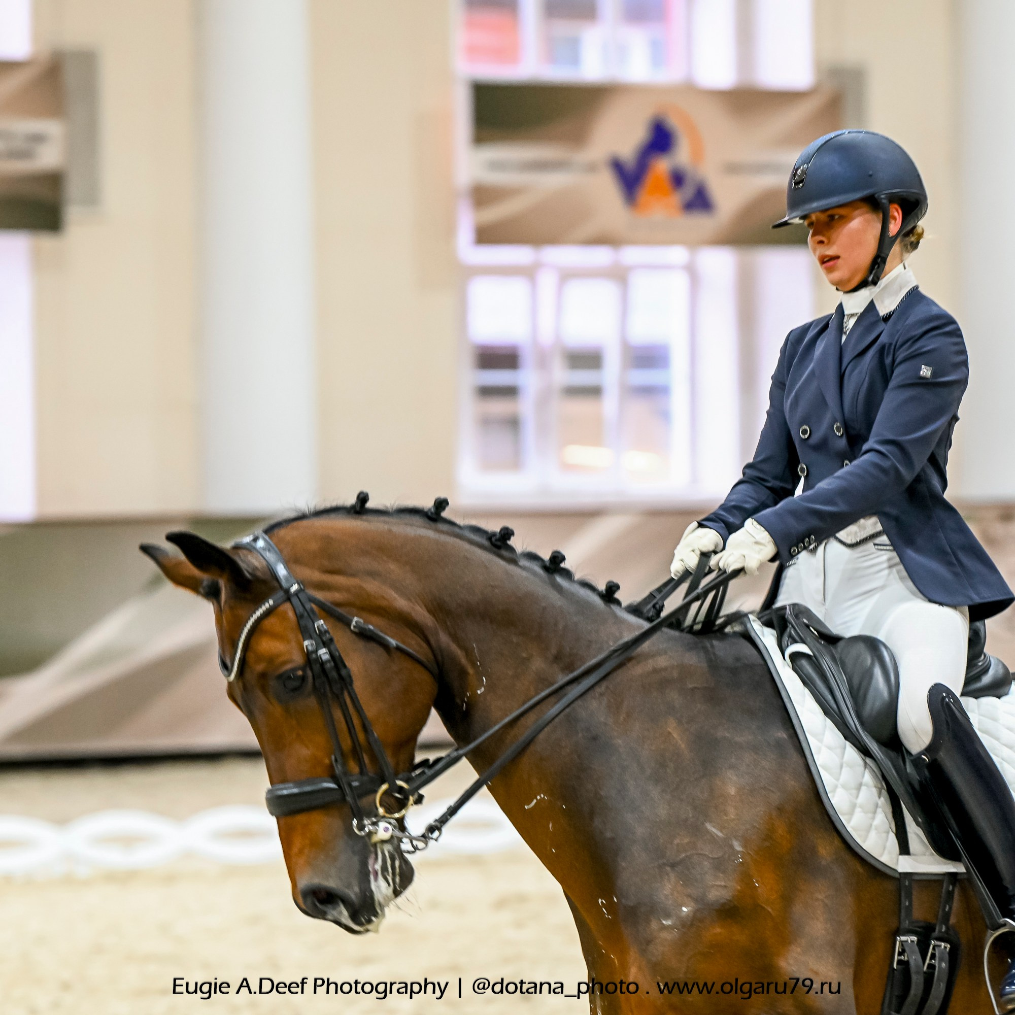 2025.10.30 и 31 — КСК Виват, Россия! (выездка). ТУРНИРНАЯ КОННАЯ ФОТОГРАФИЯ, Руднева Ольга и Евгений Адеев