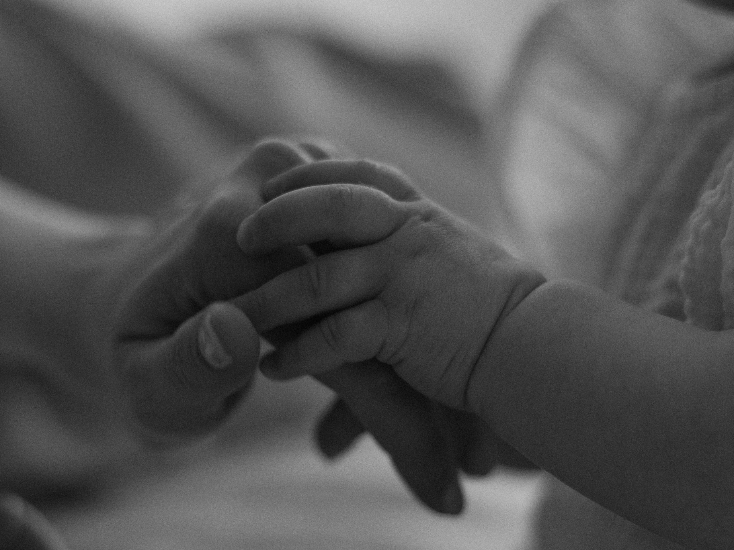 Услуги. Семейный фотограф в Самаре Ольга Гадомская