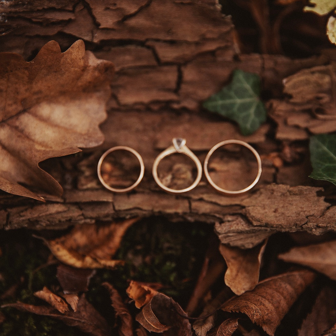 Фотограф в Санкт Петербурге и Москве Анастасия Сиволод