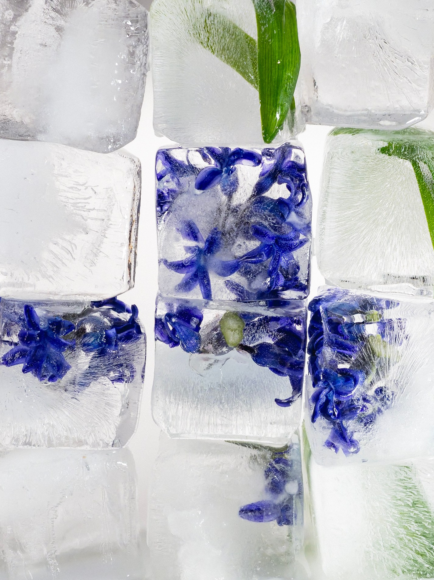 FFF — Frozen Fairy Flower. Фотограф в Санкт-Петербурге Анна Гончар