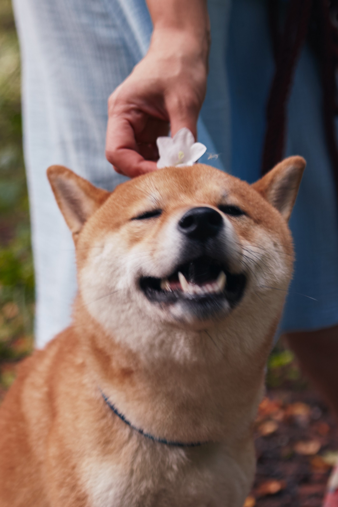 Portrait, family and pet photographer in Cyprus, Ksenia Bourdelle