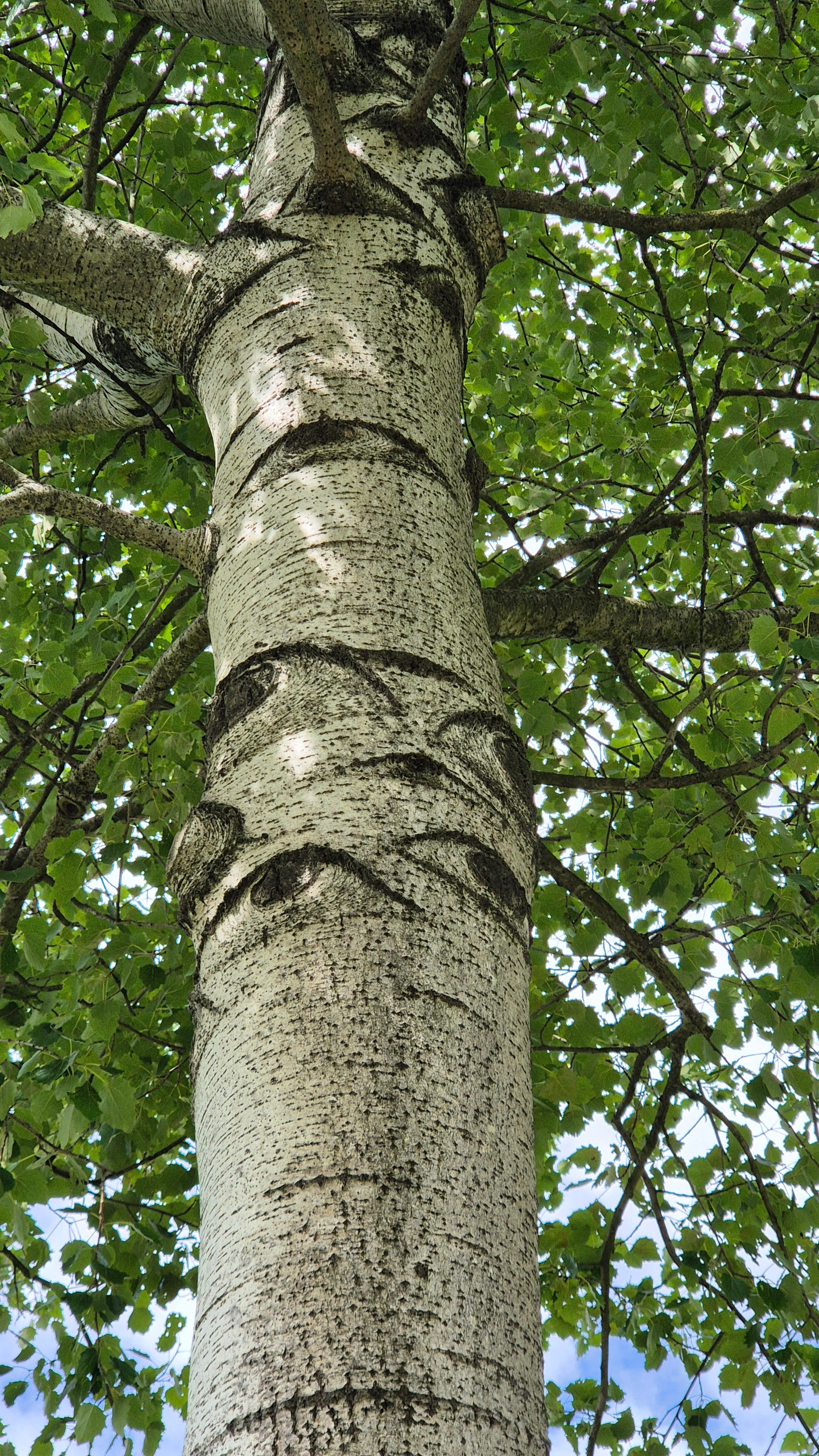 Ольга Рагозина — Дорога к морю