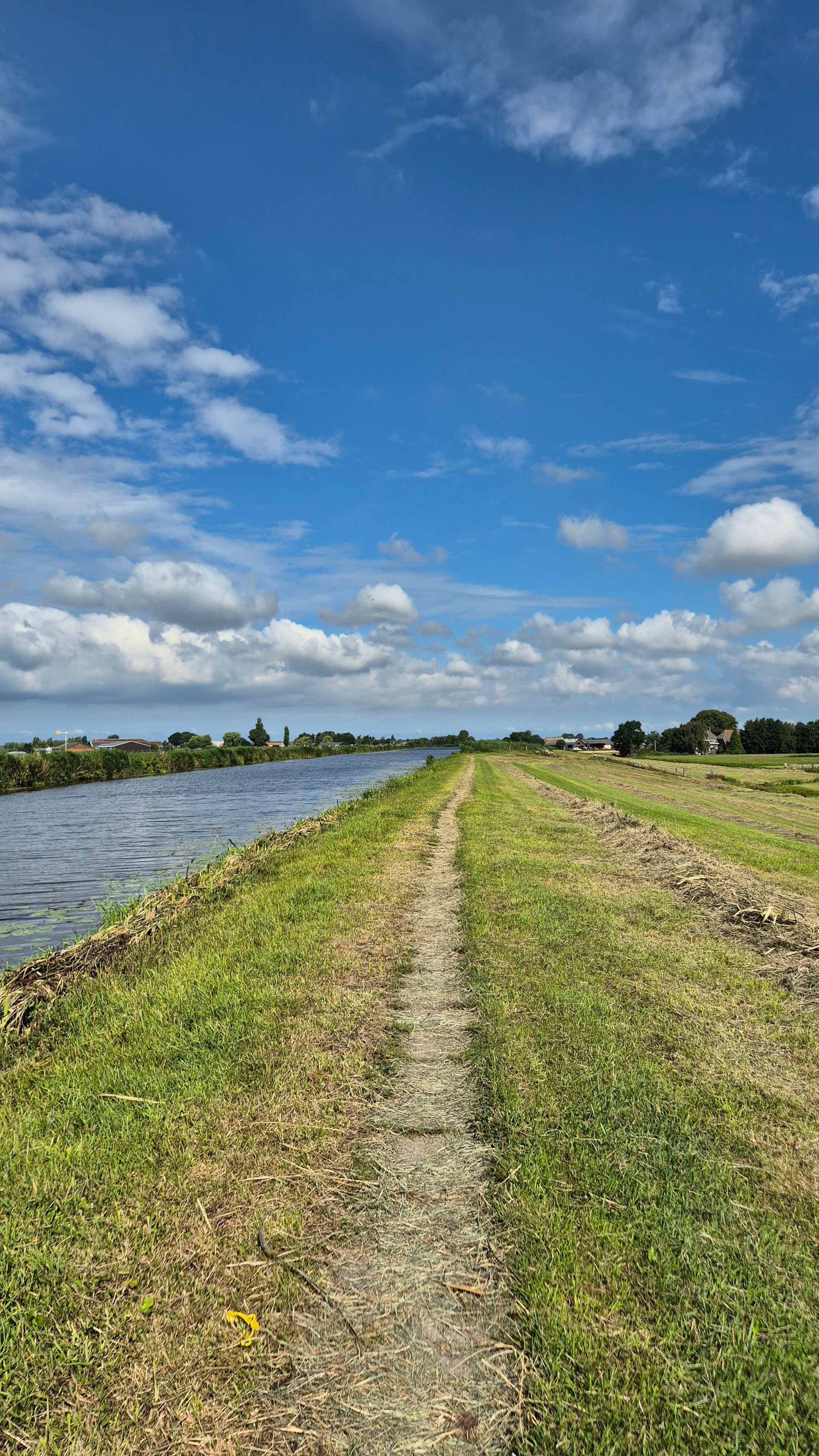 Ольга Рагозина — Дорога к морю