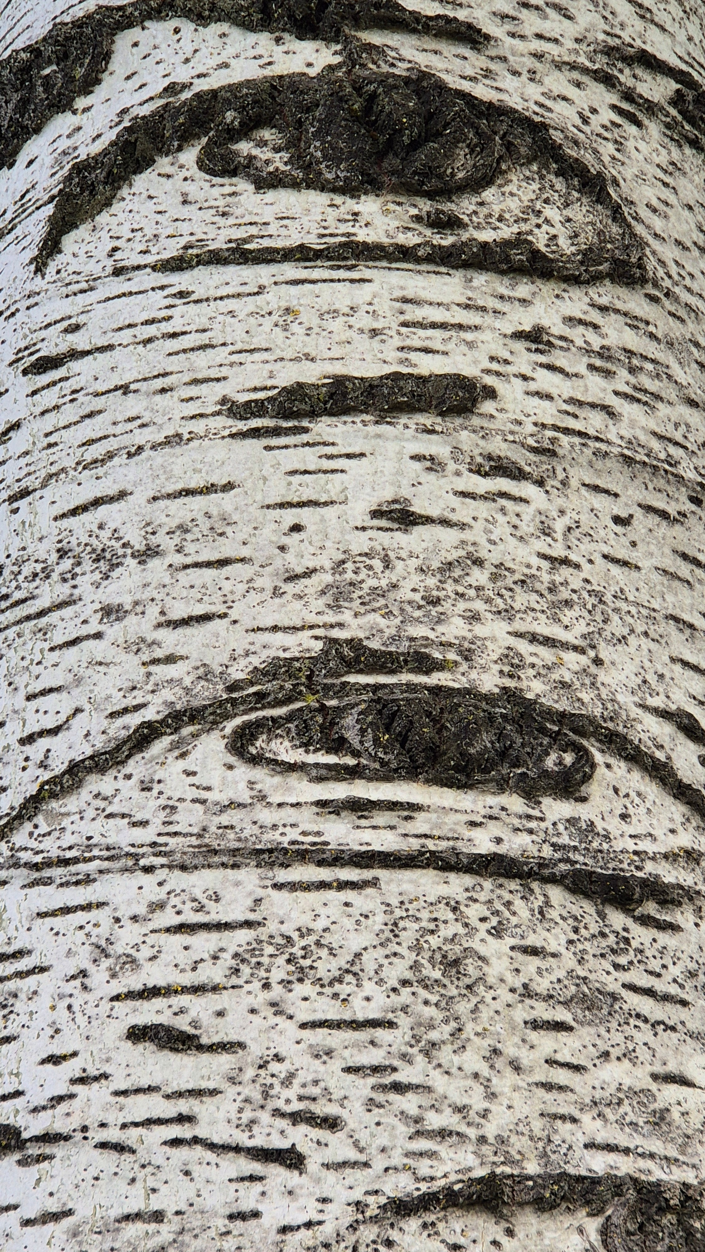 Ольга Рагозина — Дорога к морю