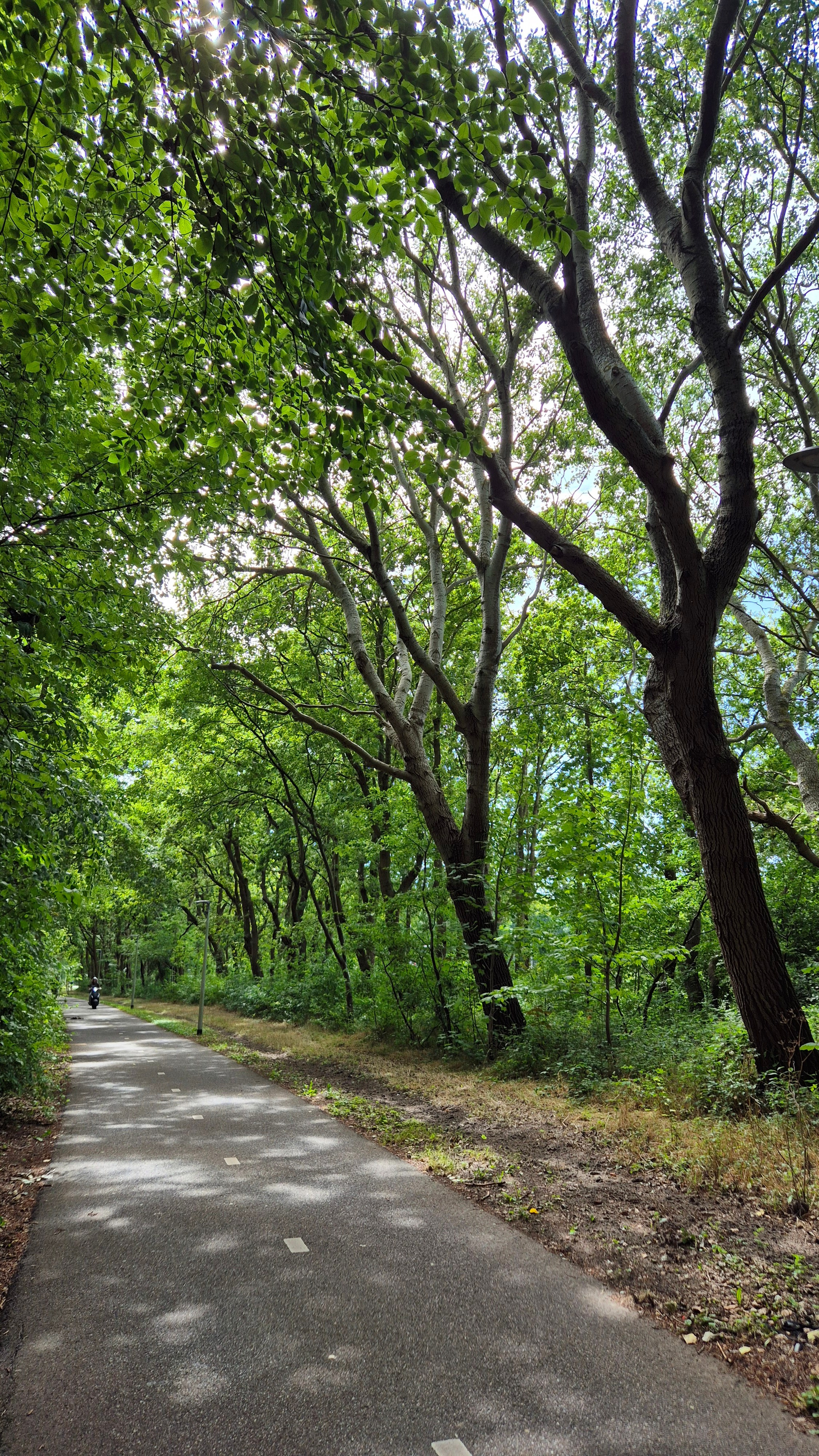 Ольга Рагозина — Дорога к морю