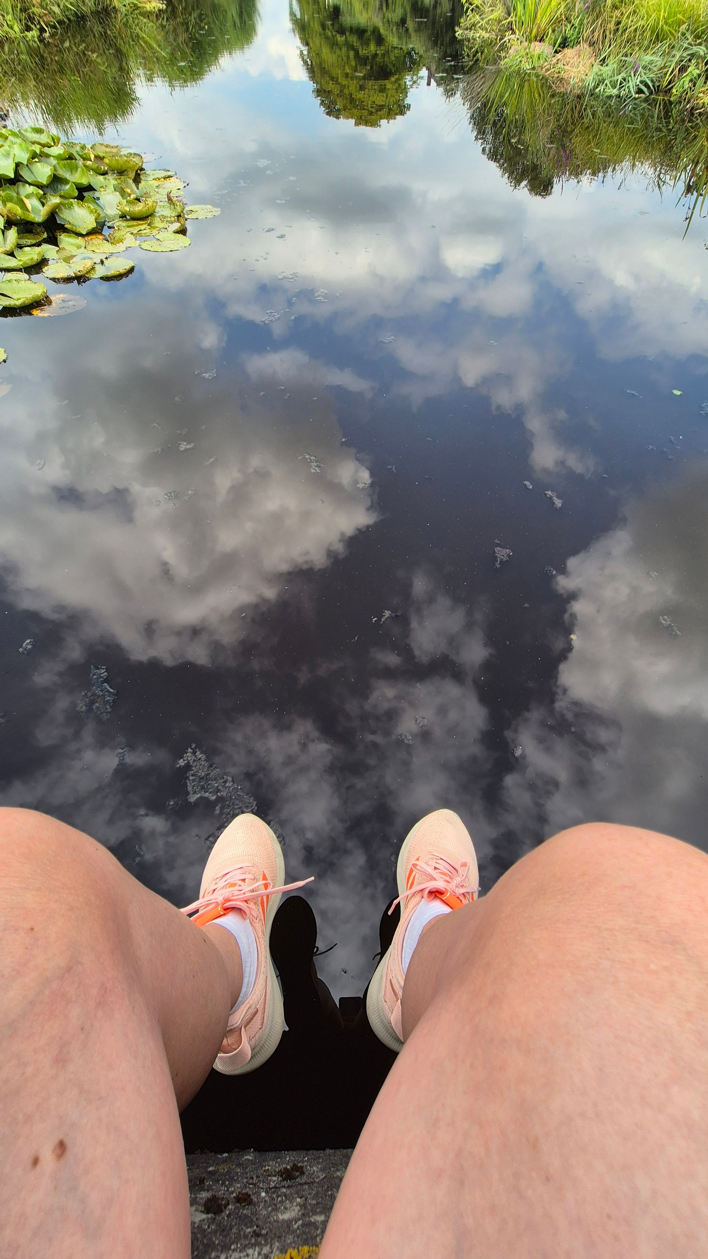 Ольга Рагозина — Дорога к морю