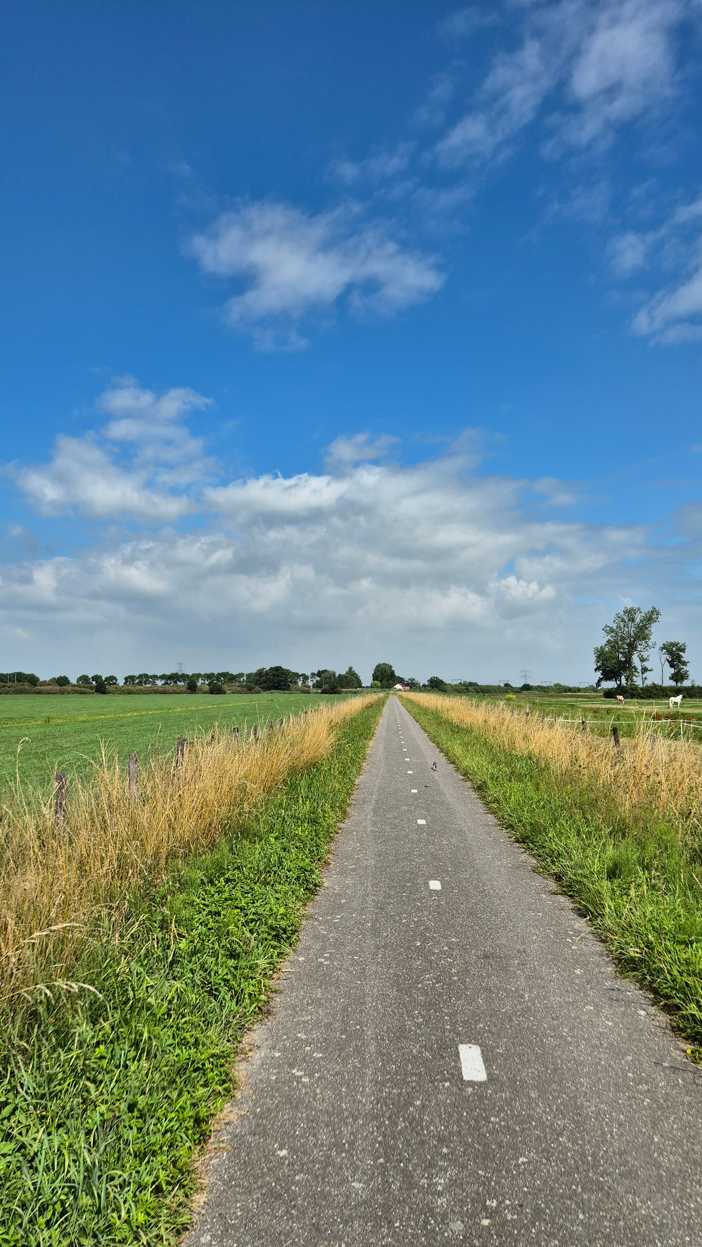 Ольга Рагозина — Дорога к морю