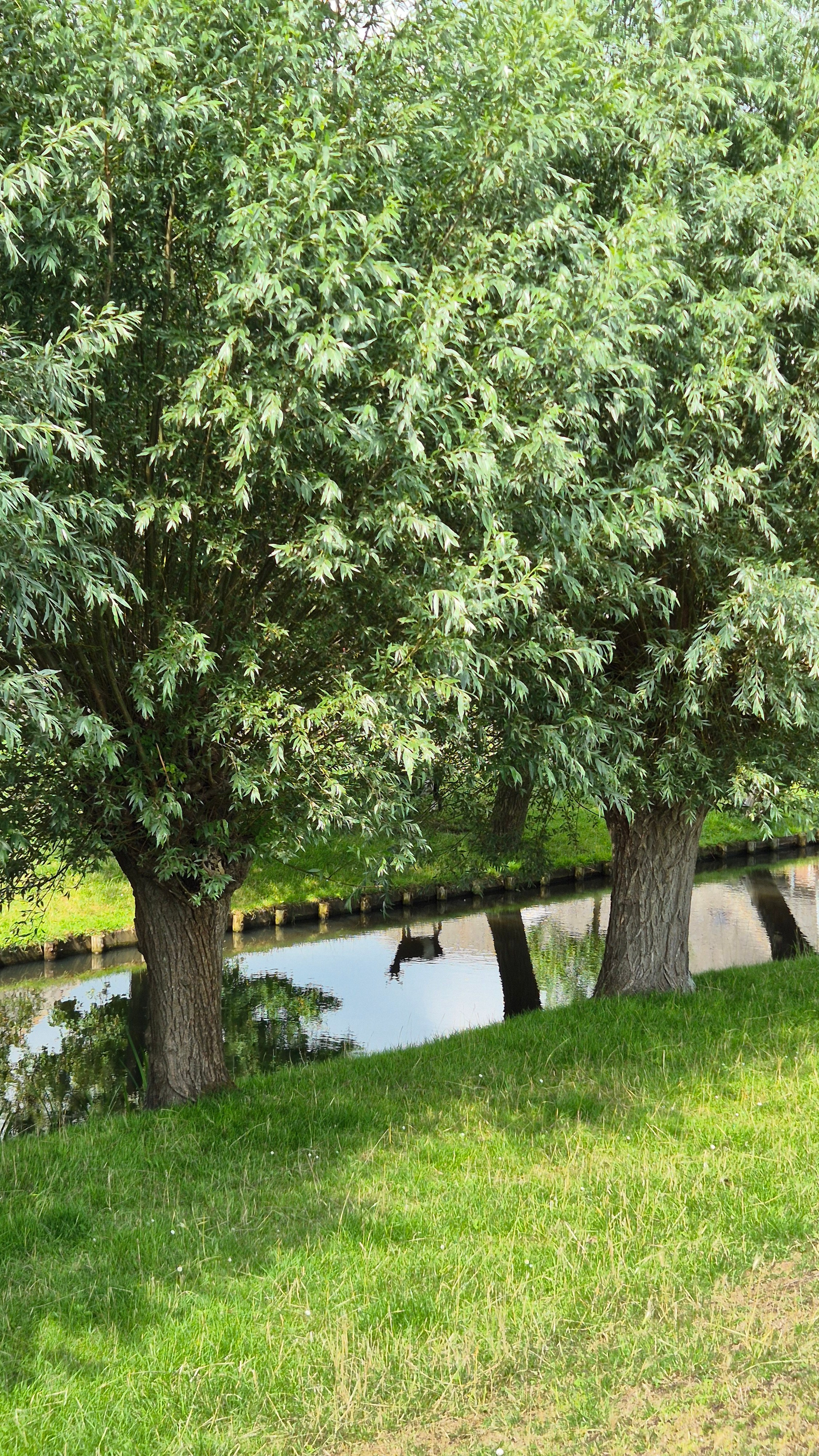 Ольга Рагозина — Дорога к морю