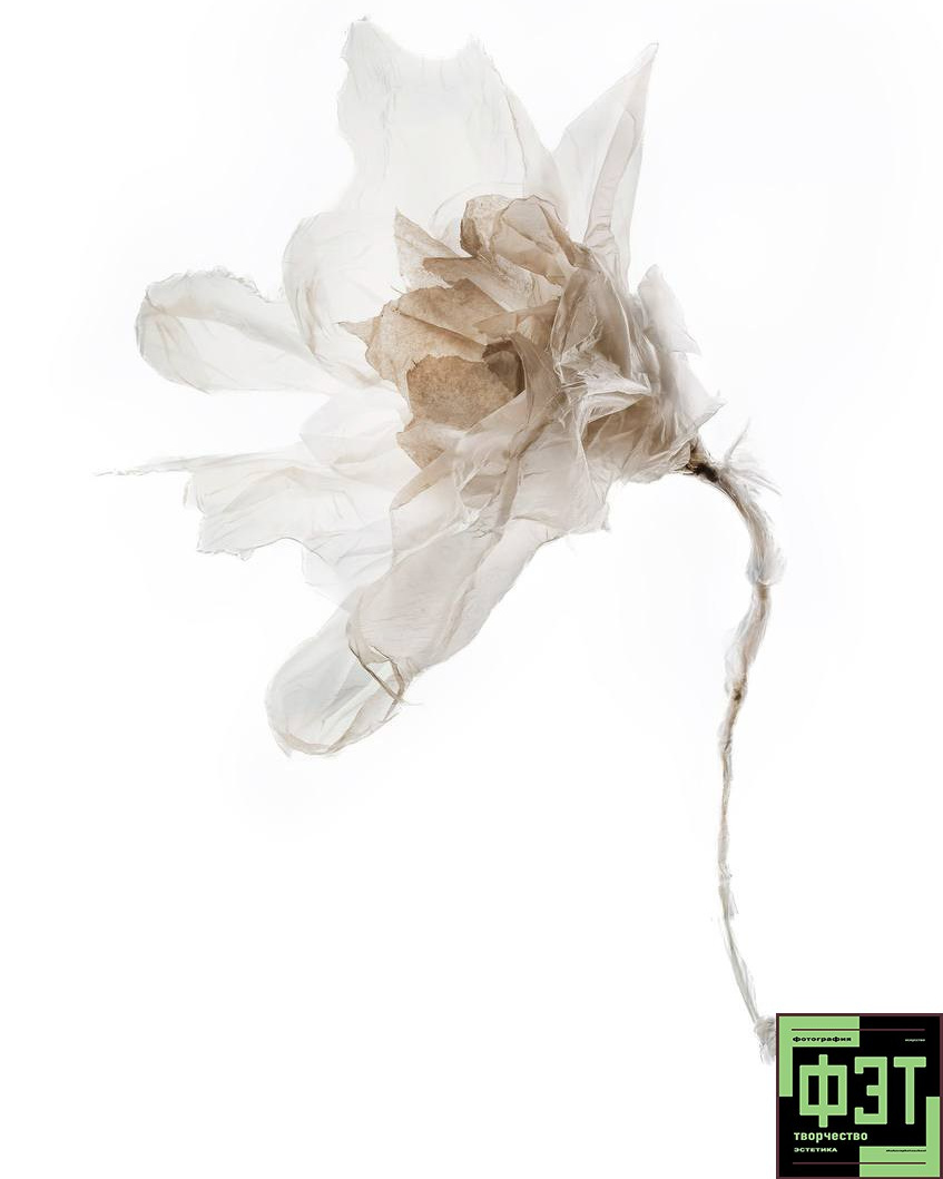 Наталья Переверзева