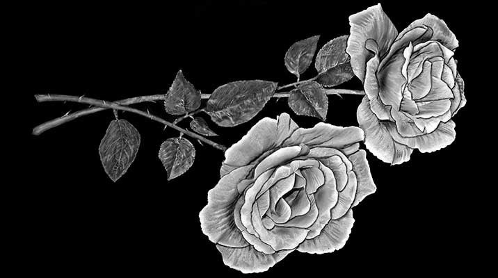 Рисунки. Granum-memorial