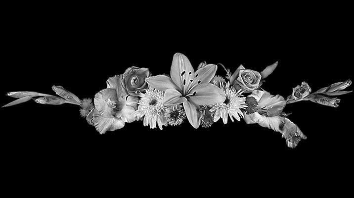 Рисунки. Granum-memorial