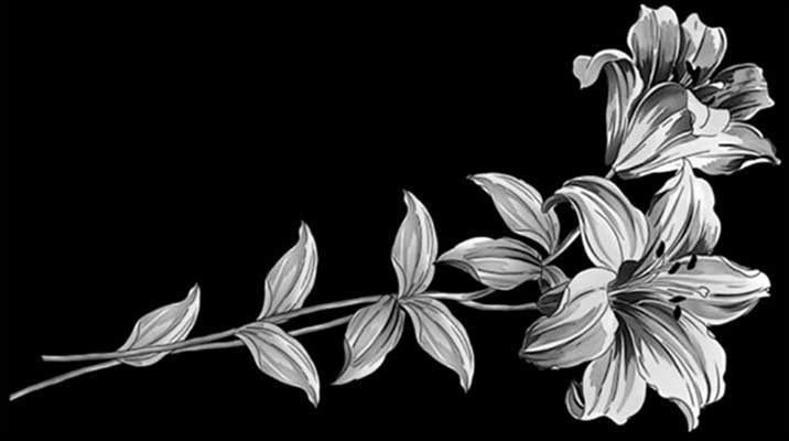 Рисунки. Granum-memorial