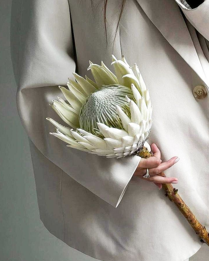 Как выбрать букет невесты?. Фотограф Кольчугино/Владимир/Москва Елизавета Иода