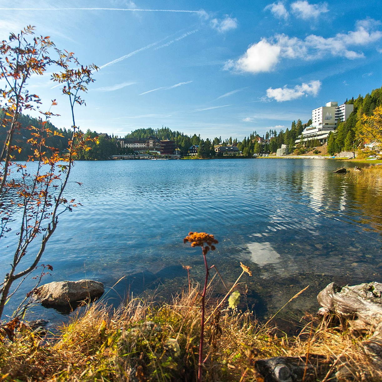 Фотоработы Олега Борисова