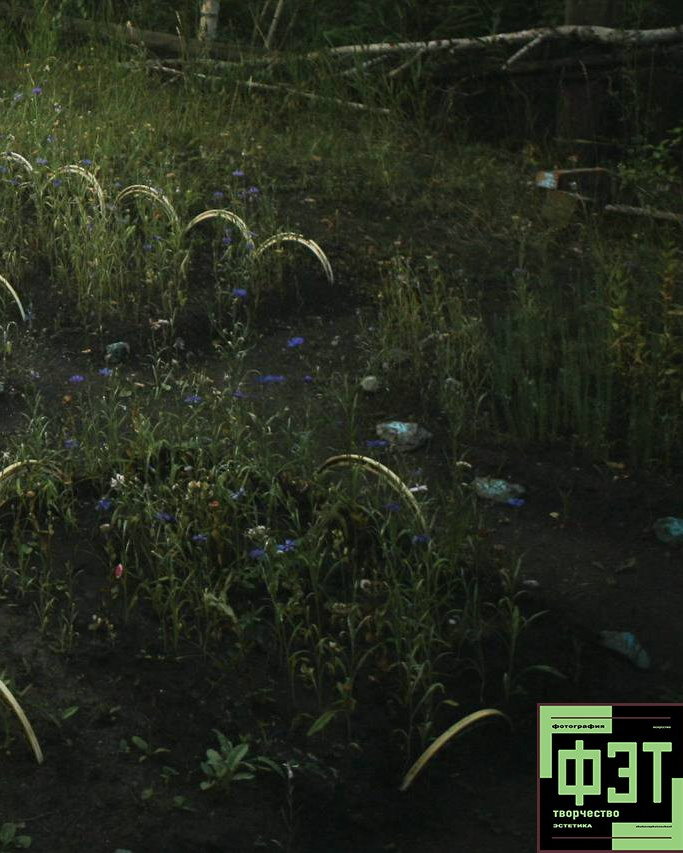 Альбом 19.04.26 в рамках проекта ФЭТ