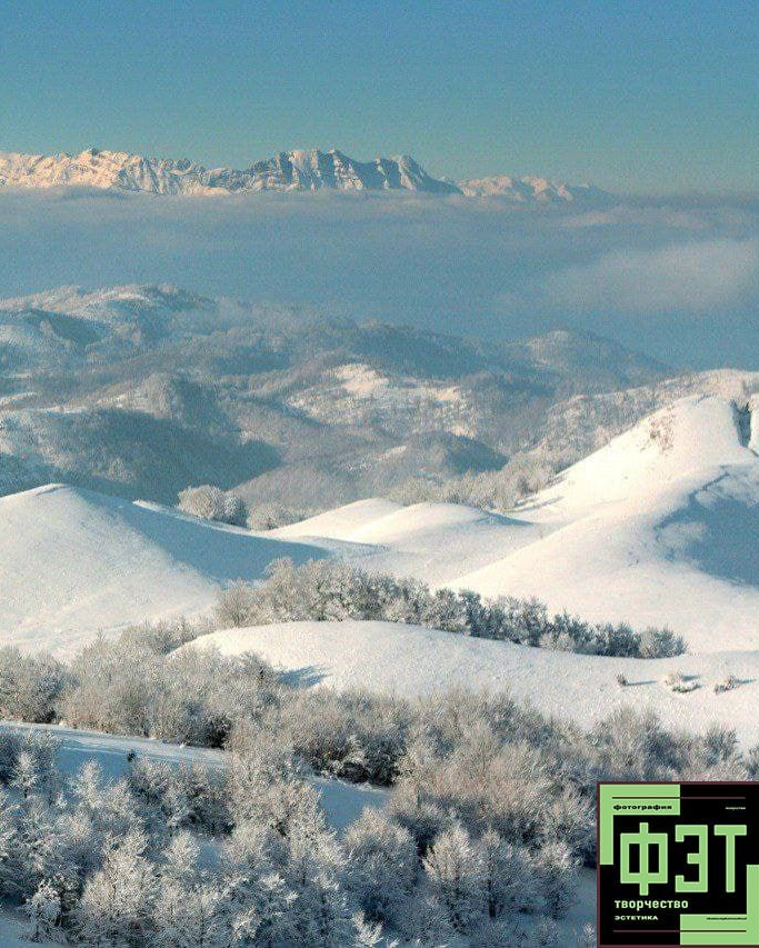 Альбом 04.01.26