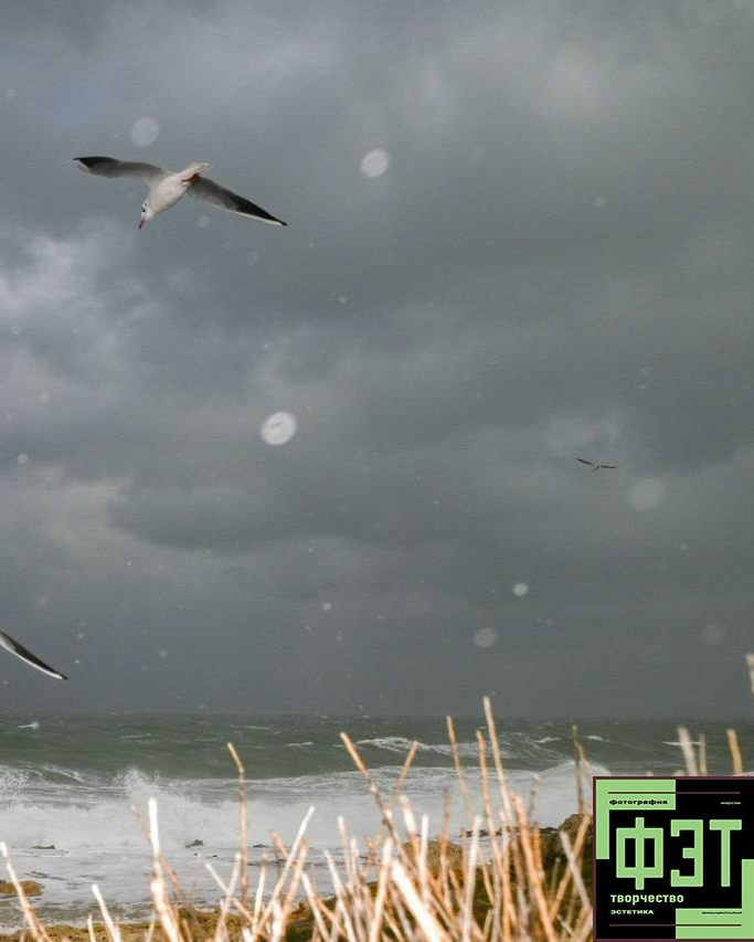 Альбом 04.01.26