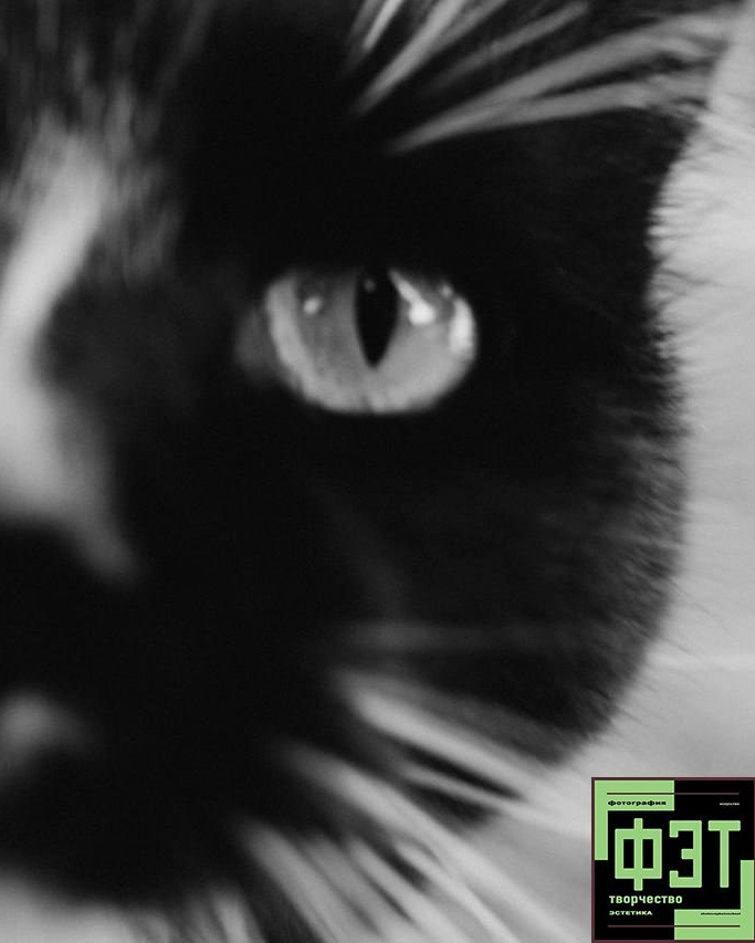 Наталья Переверзева