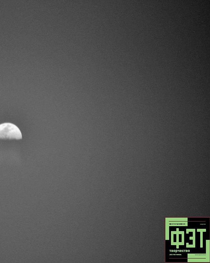 Наталья Переверзева