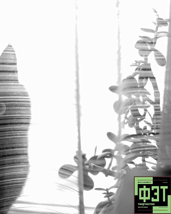 Наталья Переверзева