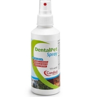 Рекомендации в ухаживании за щенком!. Питомник Йоркширских терьеров Дэнстайл в Санкт-Петербурге заводчик Тих