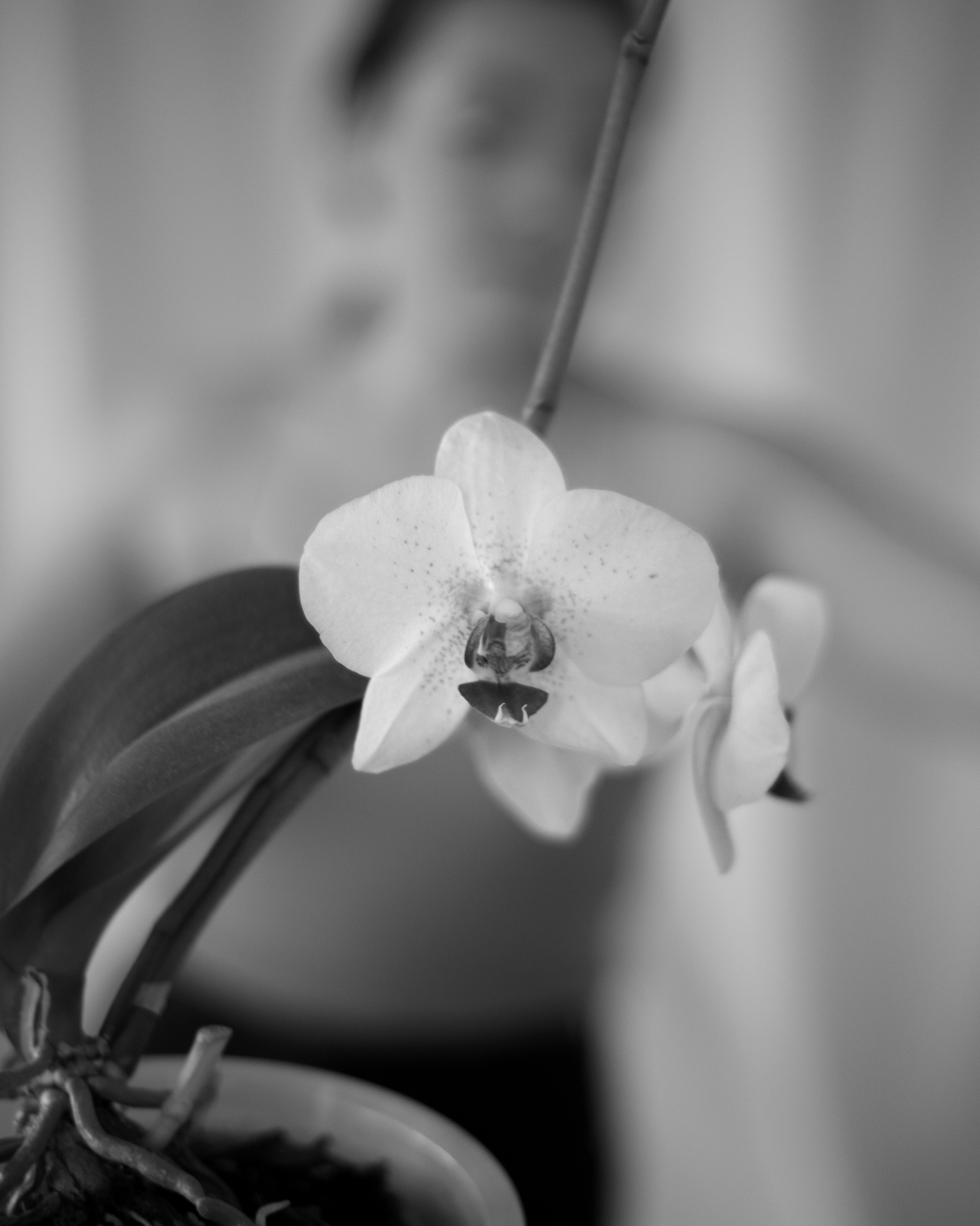 Стоимость услуг — Фотограф Татьяна Байкова. Фотограф Татьяна Байкова — официальный сайт