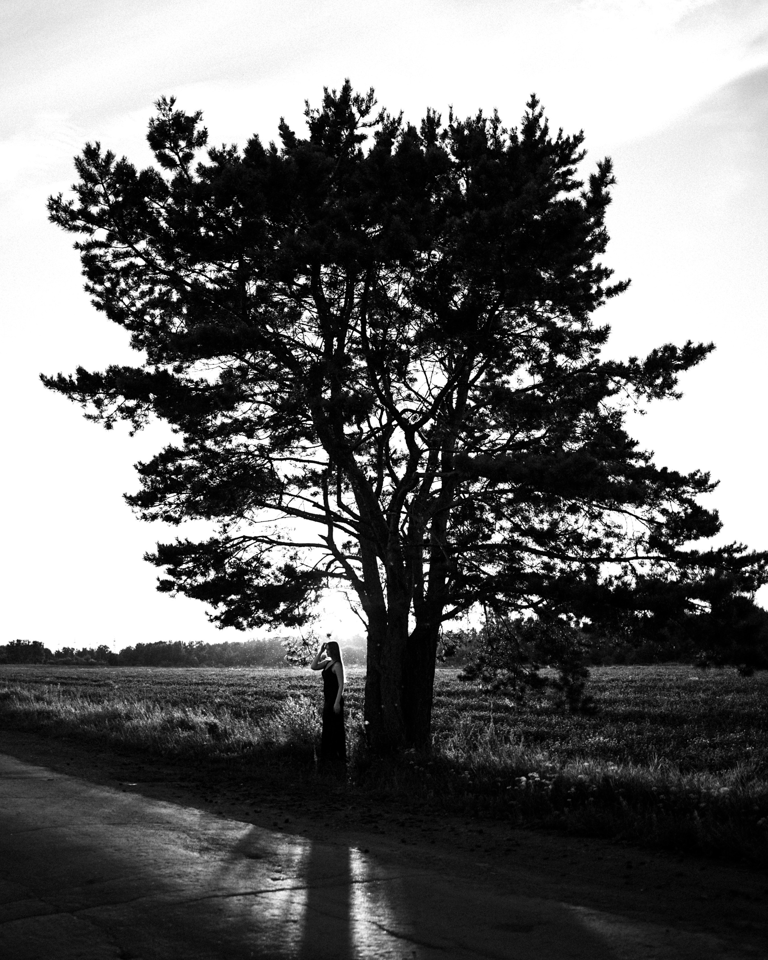 Условия и стоимость