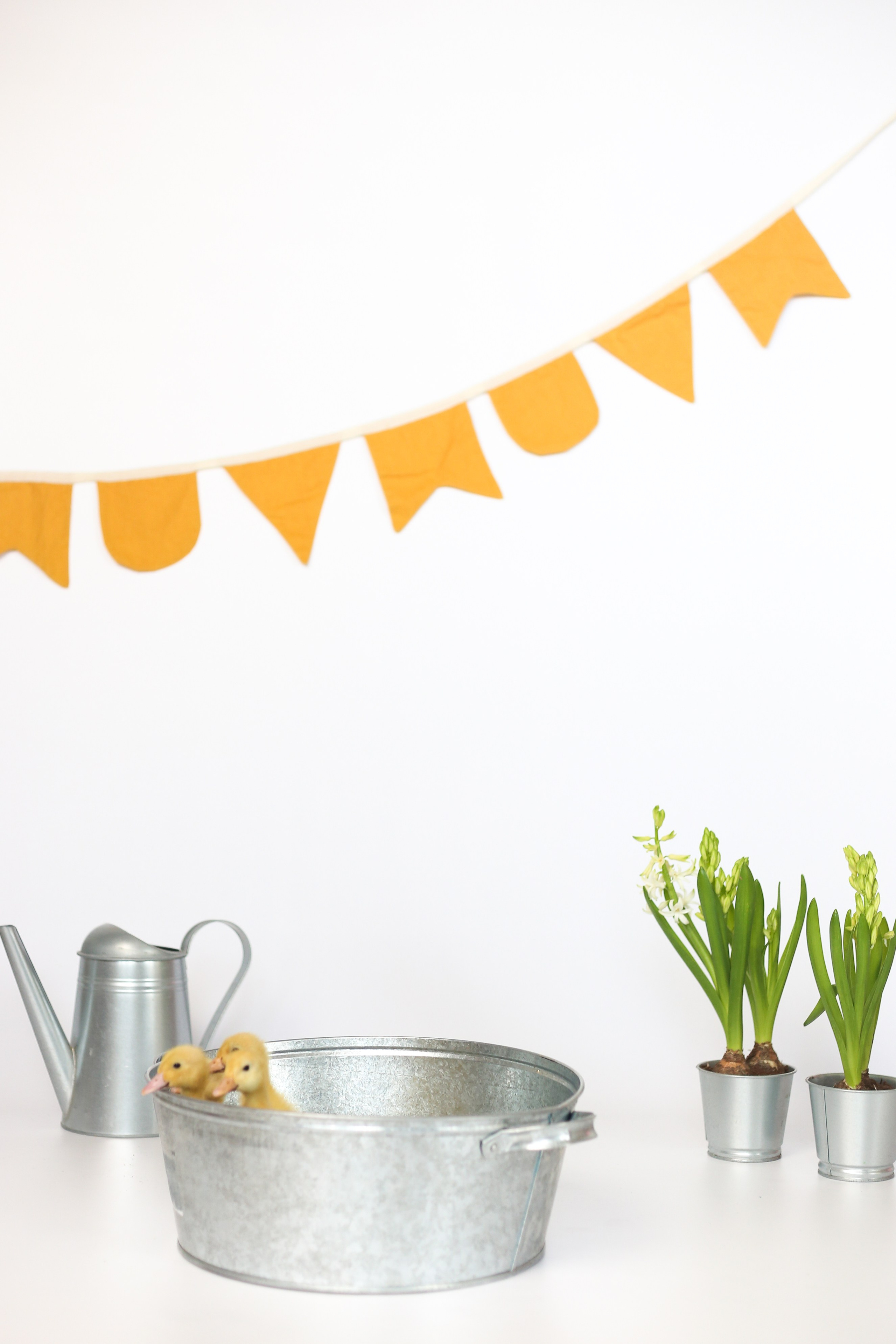 Экспресс фотосессии и фотодни в Балашихе и Железнодорожном