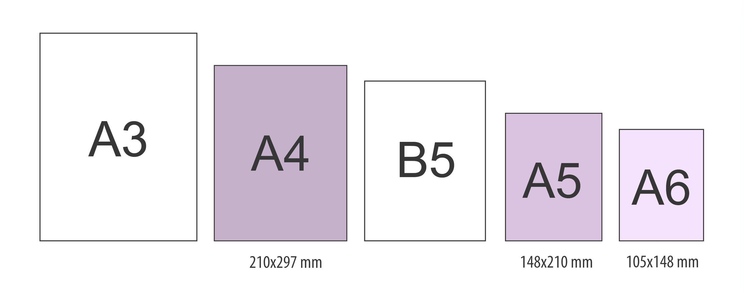 Полиграфические услуги Иннополис. Репортажный и портретный фотограф Казань