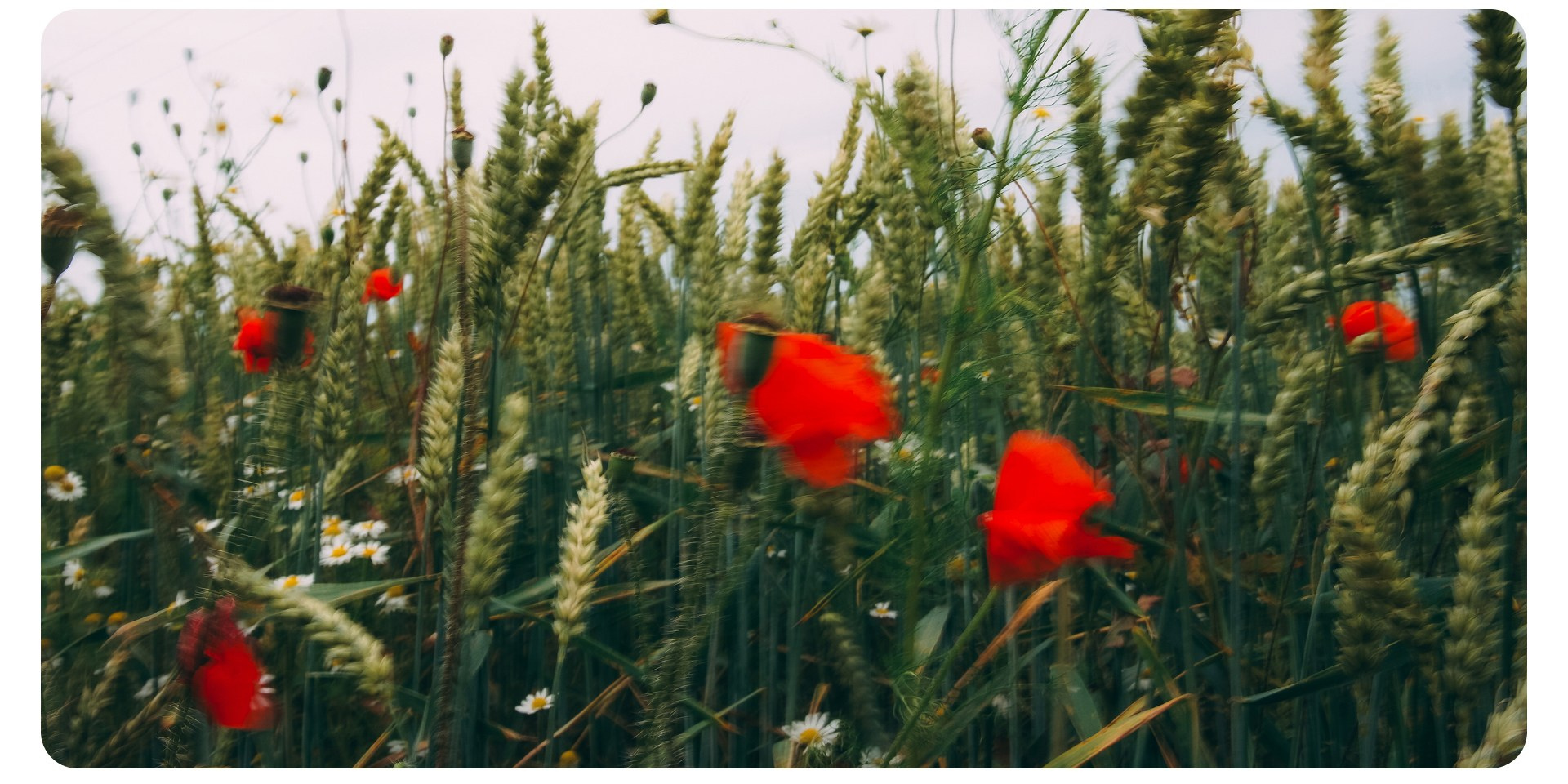 Калининград 2. Фотограф из Москвы — DASHA NOVA | Авторская фотография в разных жанрах