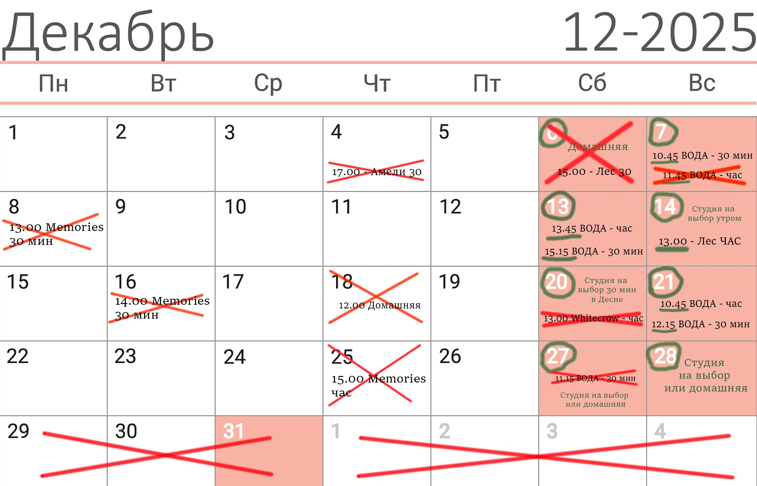Новогодний сезон. Семейный и детский фотограф |Брянск| Анастасия Перепелкина